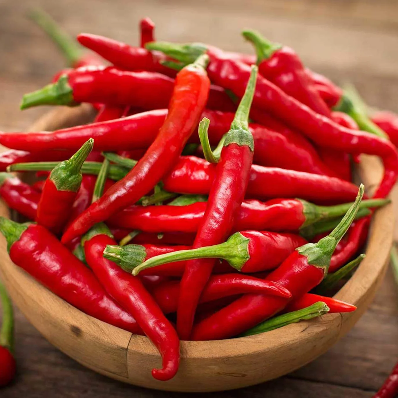 Chili Seed Set 12 Variedades de Semillas de Chile Picante a Suave Premium Naturales Fácil de Cultivar Jardín Balcón