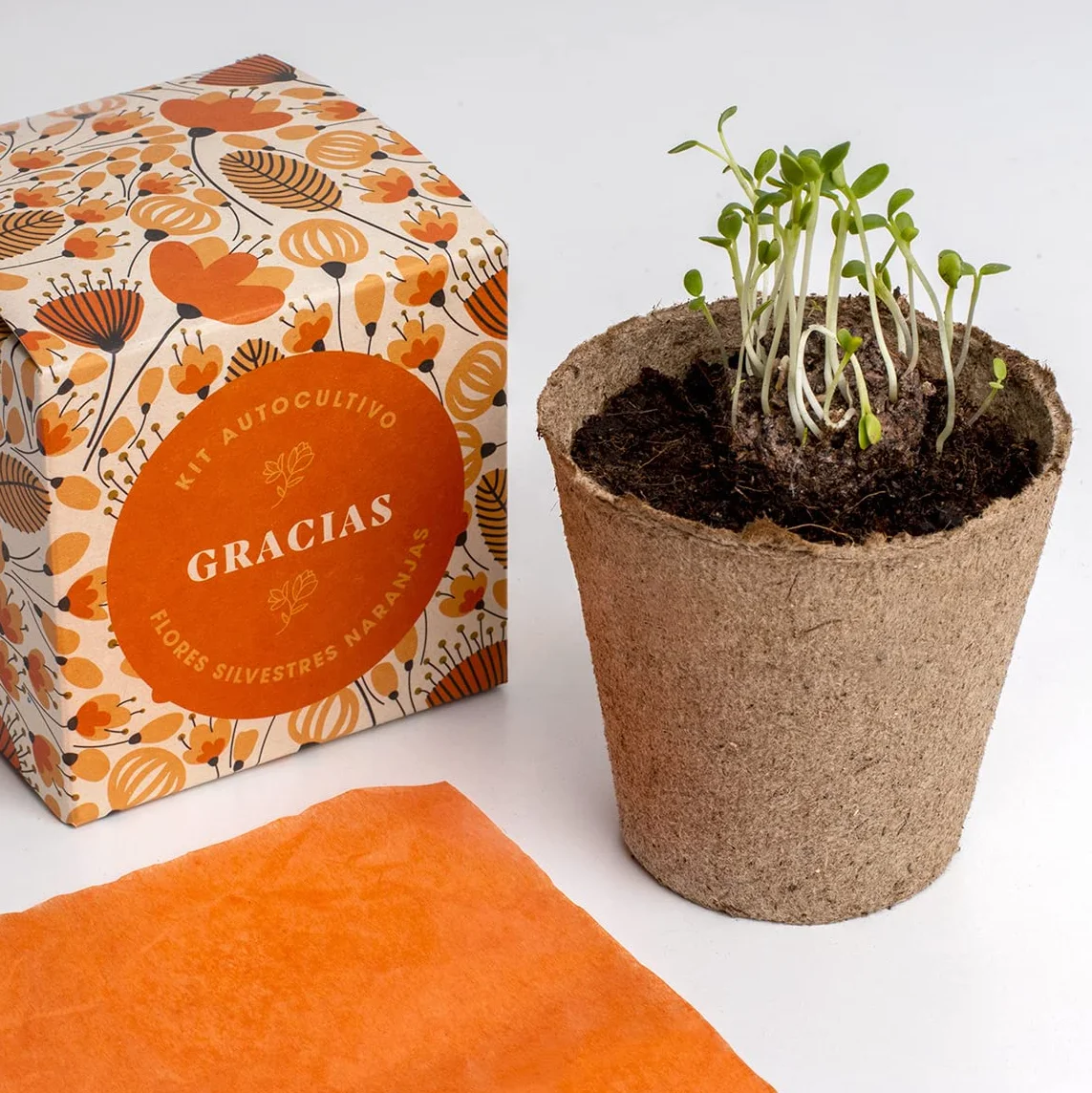 Díselo con Flores Gracias Kit Autocultivo Flores Silvestres Naranjas Regalo Original Artesano Emocional Caléndula Pimpinela Escarlata Clavel Moro