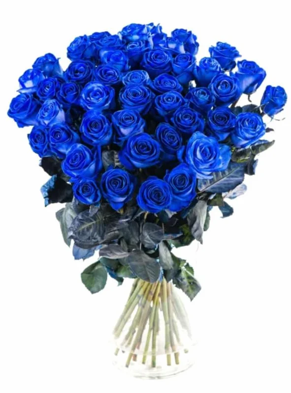 Ramo de Rosas Azules Naturales 25 Flores Frescas