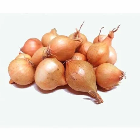 Cebolla variedad paja virtudes 450g para plantar