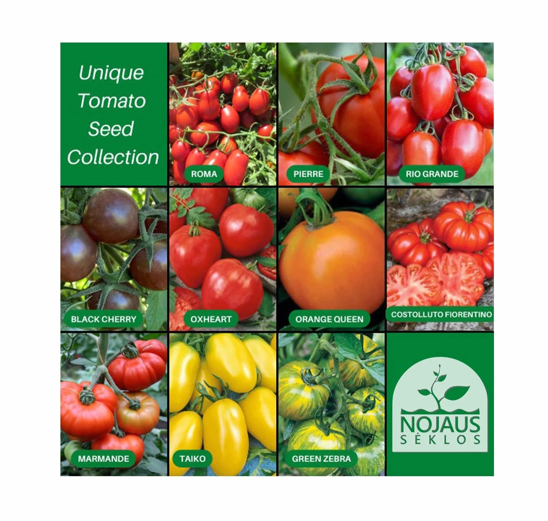 Nojus Juego de semillas de tomate 10 variedades Kit de inicio 10 paquetes