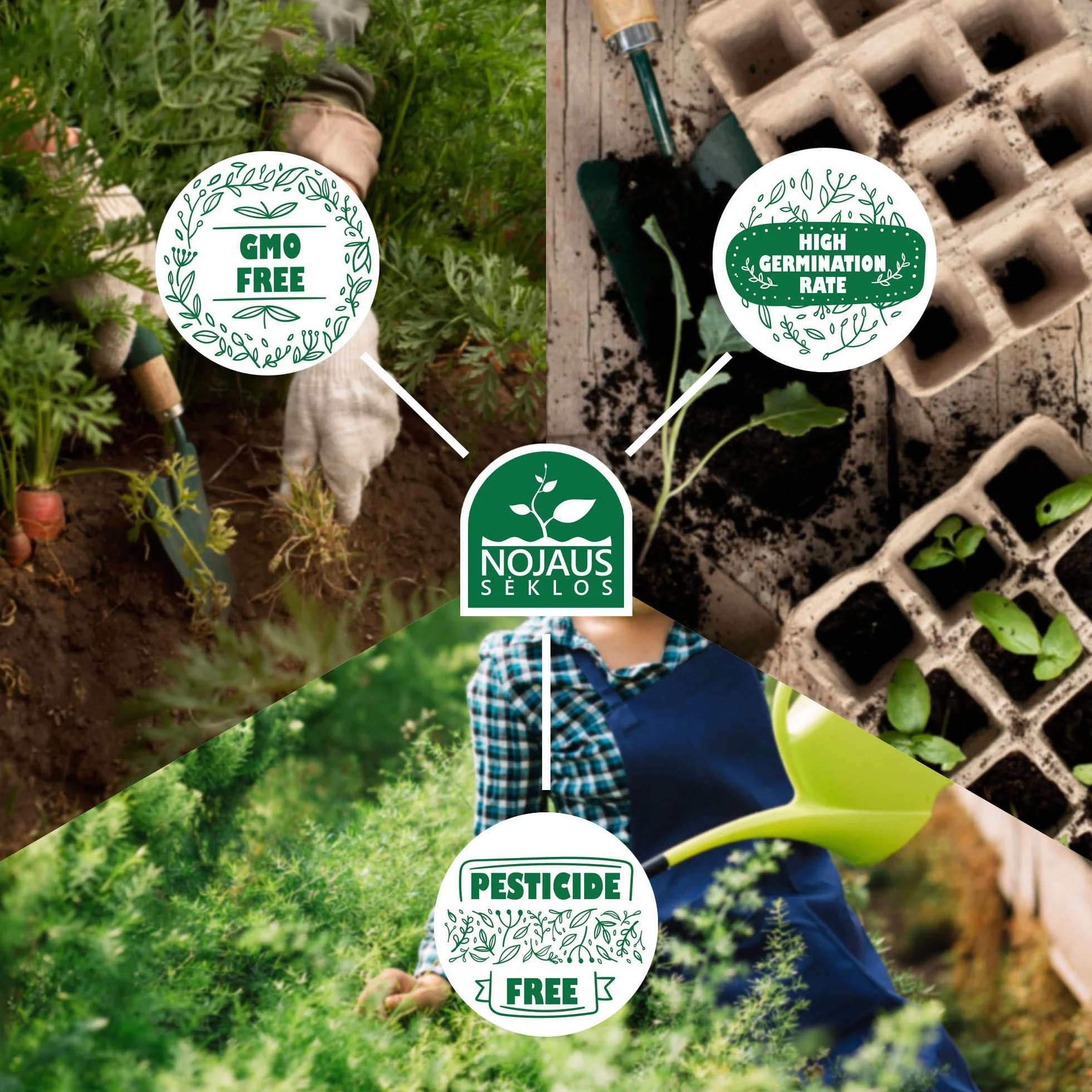 Nojus Juego de semillas de flores 10 variedades para balcón plantas coloridas 10 paquetes Regalo