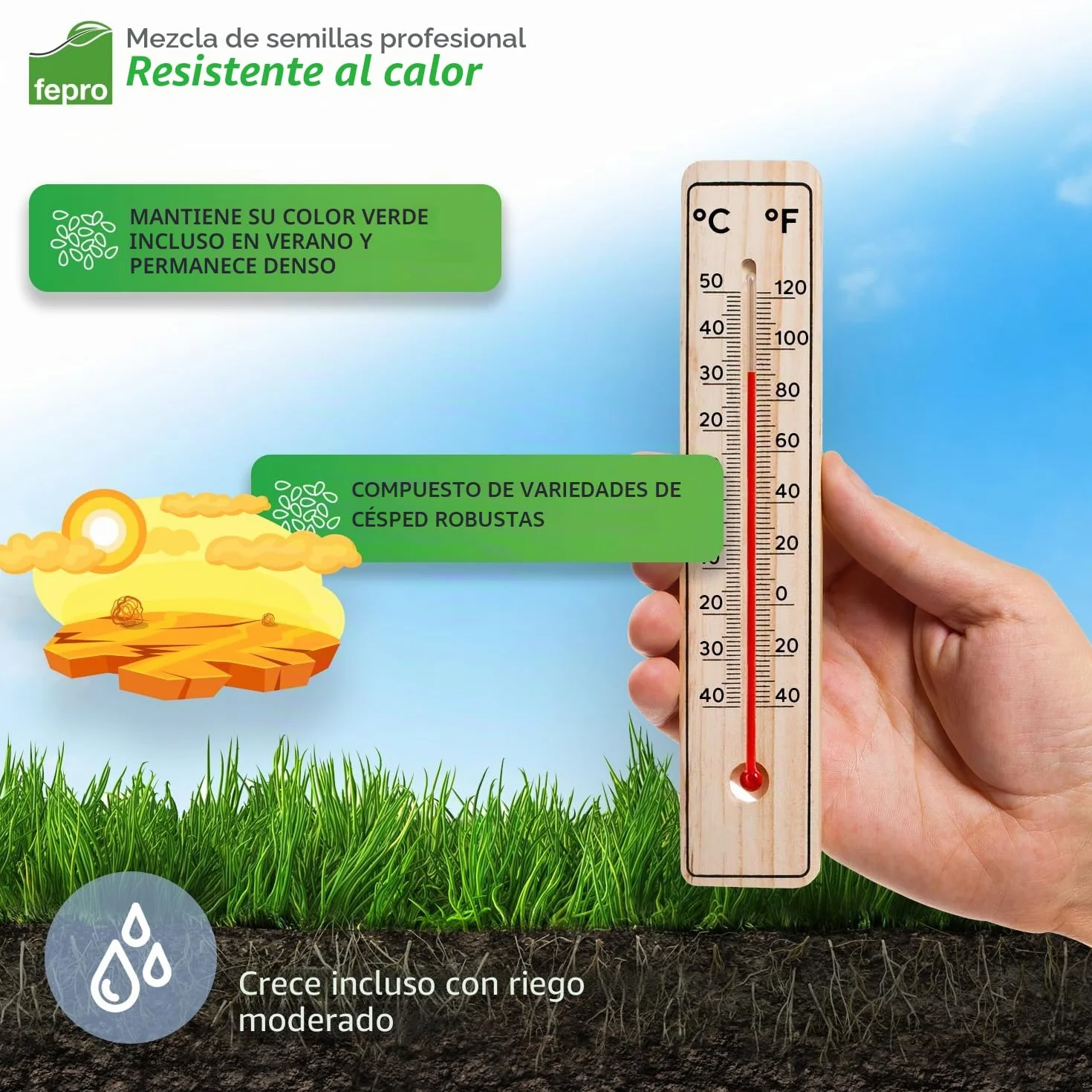 Semillas de césped 10 kg 400 m² germinación rápida color verde profundo para deportes y juegos