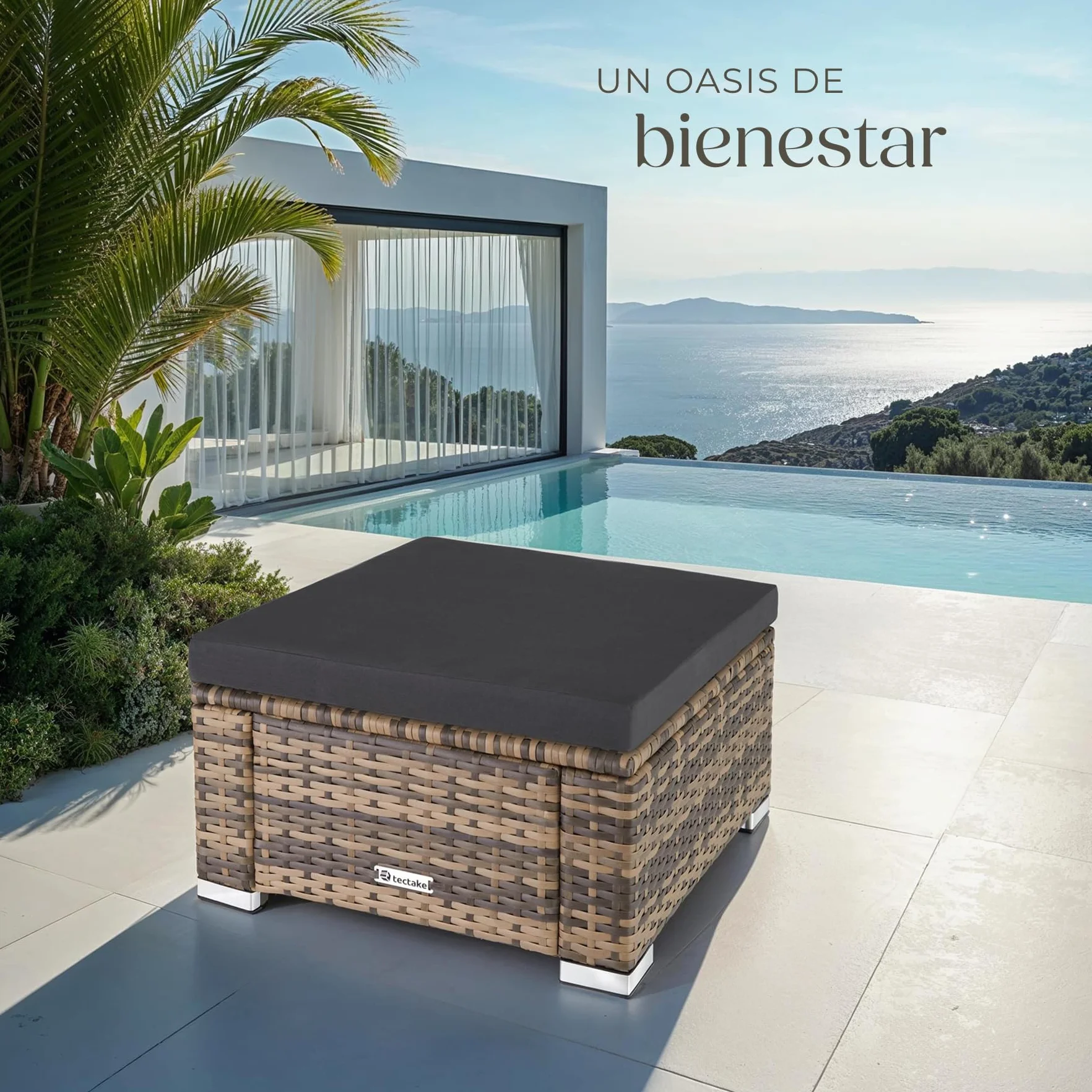 TecTake® Taburete de Ratán y Acero, Muebles Jardín Exterior Resistentes a Intemperie, Puf con Cojines Extraíbles