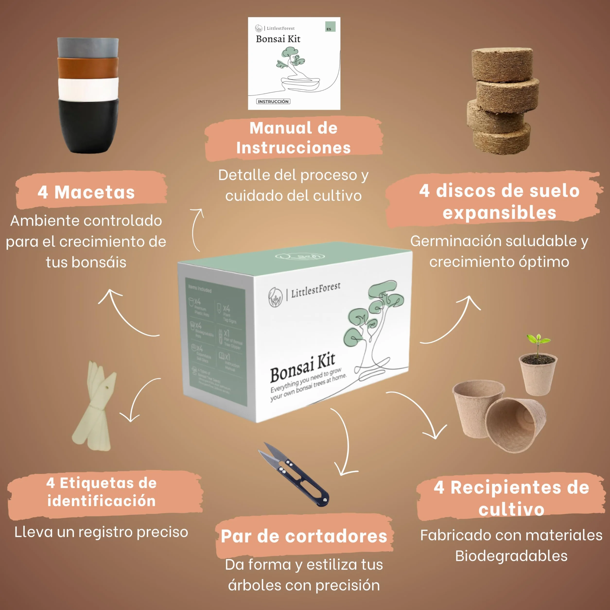 Kit Bonsai para Principiantes - Semillas y Herramientas para Cultivar Plantas Bonsai Naturales