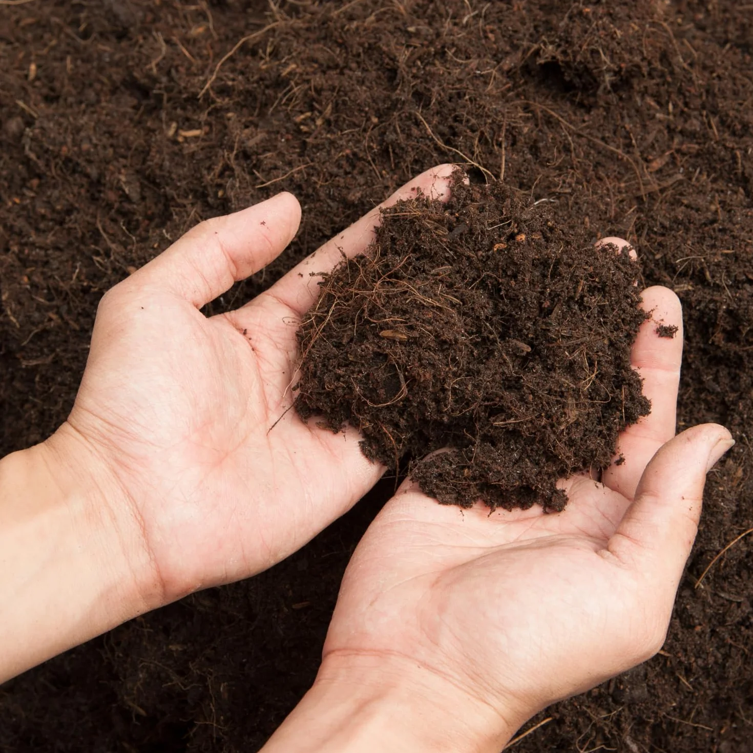 GROWMANIA Humus de Lombriz 40L Fertilizante Orgánico Sustrato Universal Abono para Cultivos