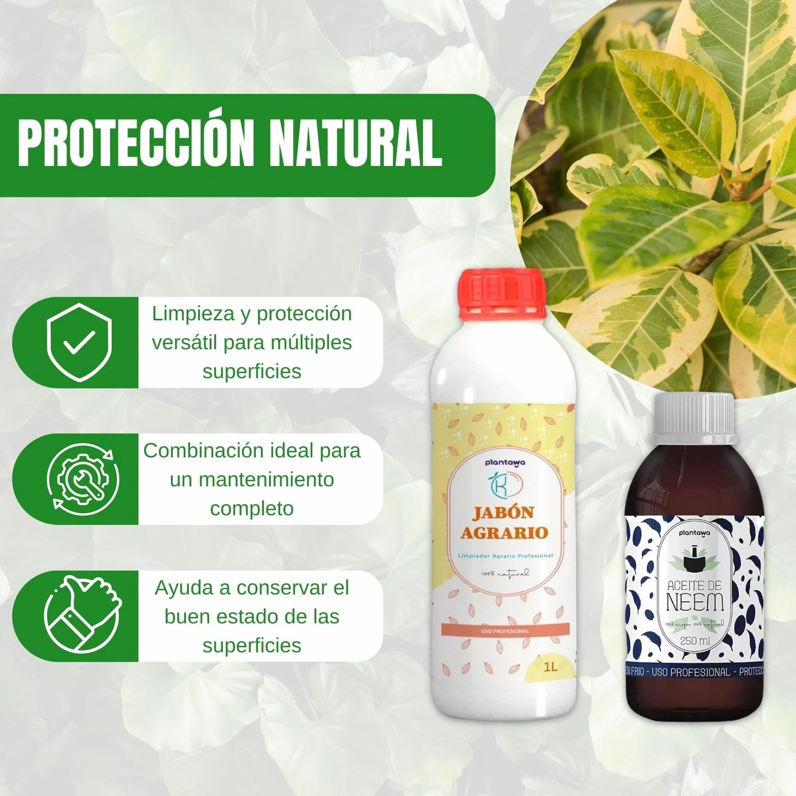 PLANTAWA Jabón Potásico 1L + Aceite de Neem 250ml Solución Multiusos