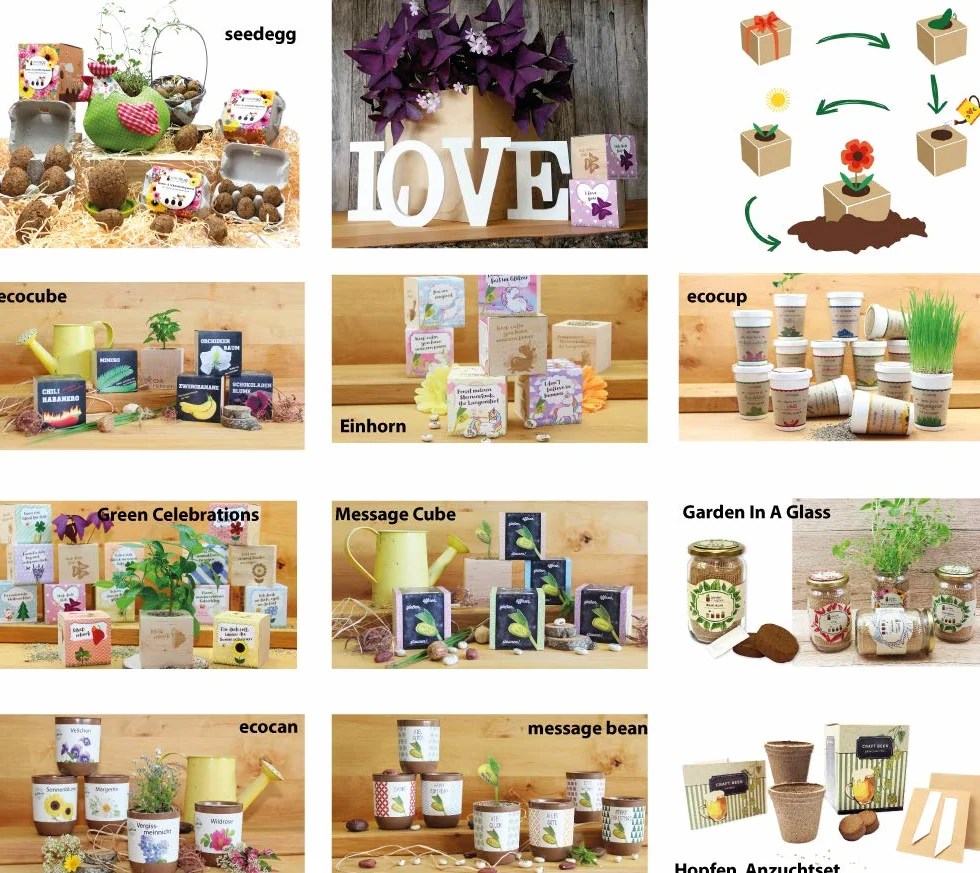 Feel Green Ecocube Forget-Me-Not, set de cultivo sostenible, plantas en cubos de madera, fabricado en Austria