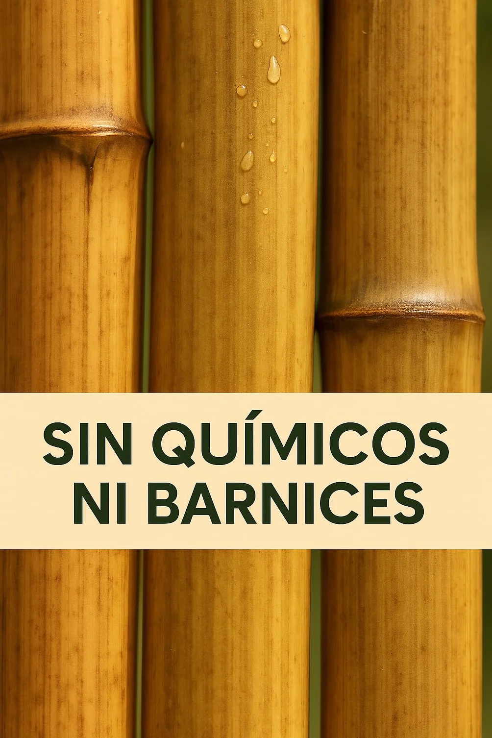 Tutores de Bambú 150 cm Ø 10/12 mm para Huerto, Tomateras y Jardín