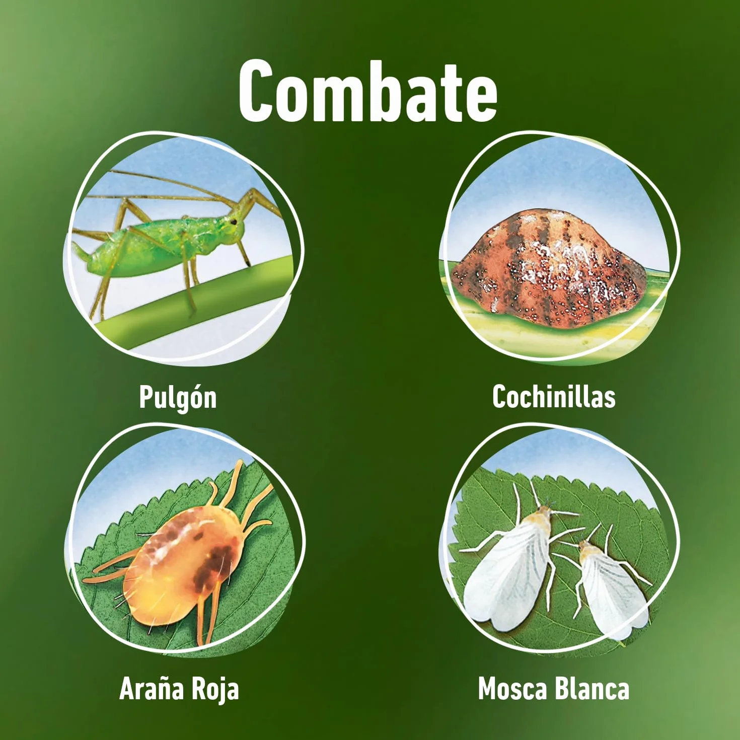 COMPO Bio Insecticida Stop 750 ml Control de plagas hortícolas aromáticas