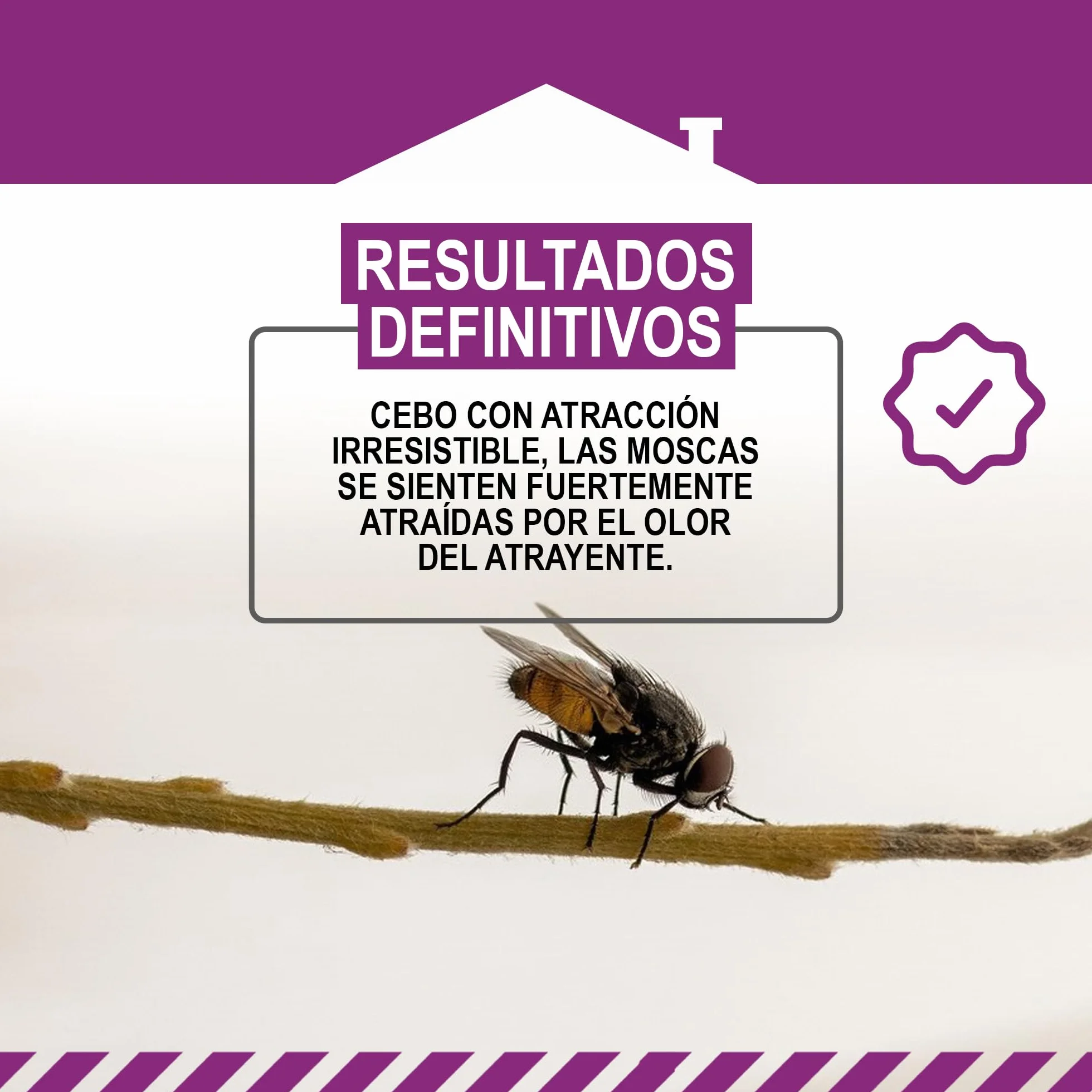 MASTERLAC Cebo Atrapamoscas 125 G 30 g Atracción 15 Días 0% Insecticidas