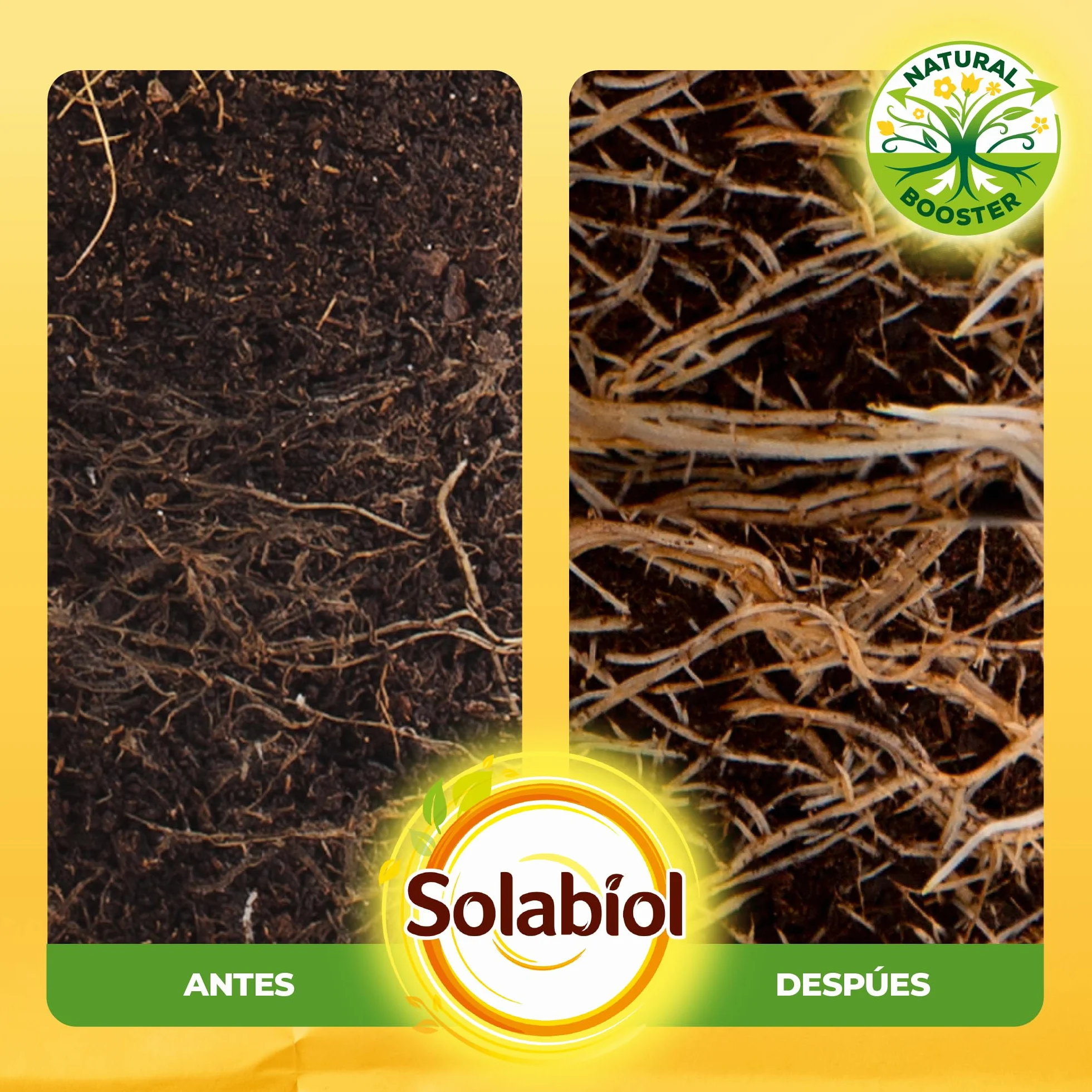 Solabiol Enraizante líquido orgánico para esquejes y plantas trasplantadas