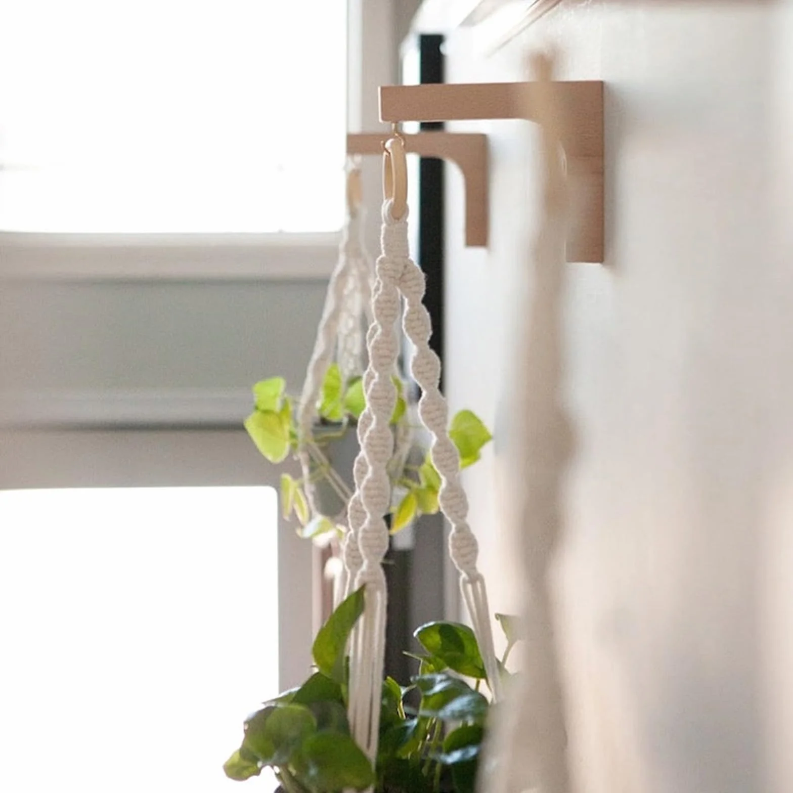 Ganchos Colgantes de Madera para Plantas, Decorativos de Pared, Soportes para Macetas, Campanillas de Viento, Comederos para Pájaros (Negro)