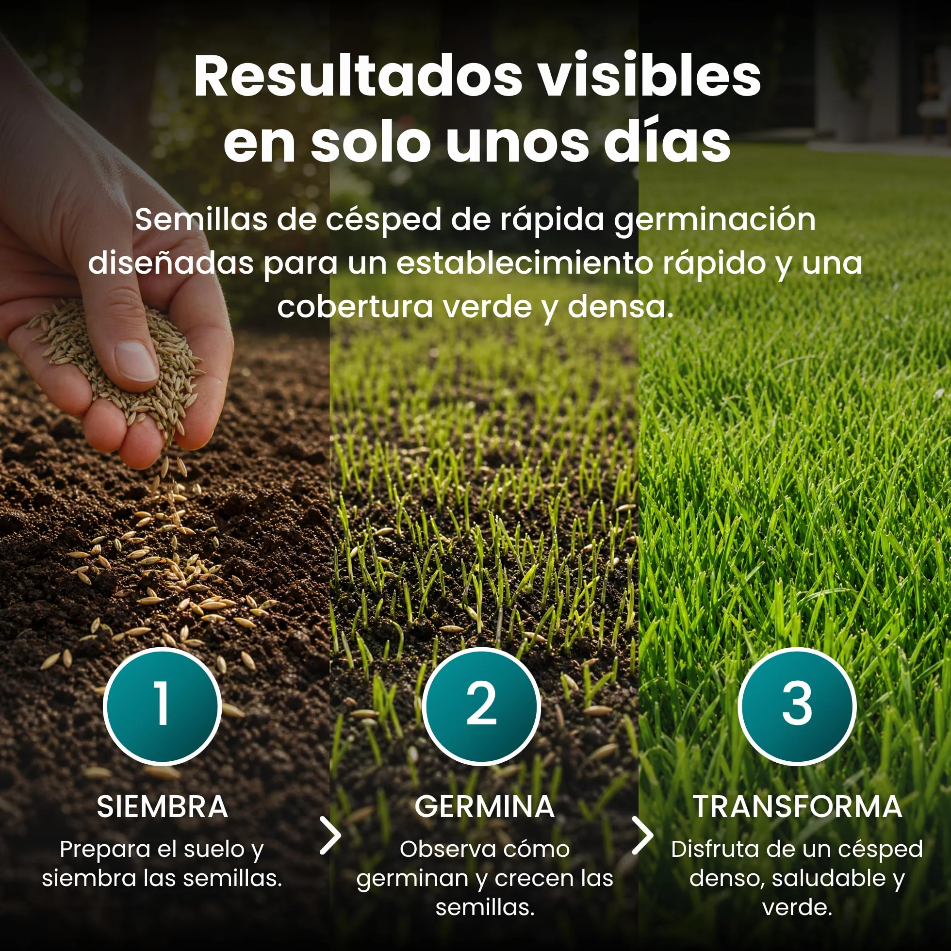 LERAVA TURBO Semillas de césped de germinación rápida 10 m² - brotación en 4-10 días - verde brillante