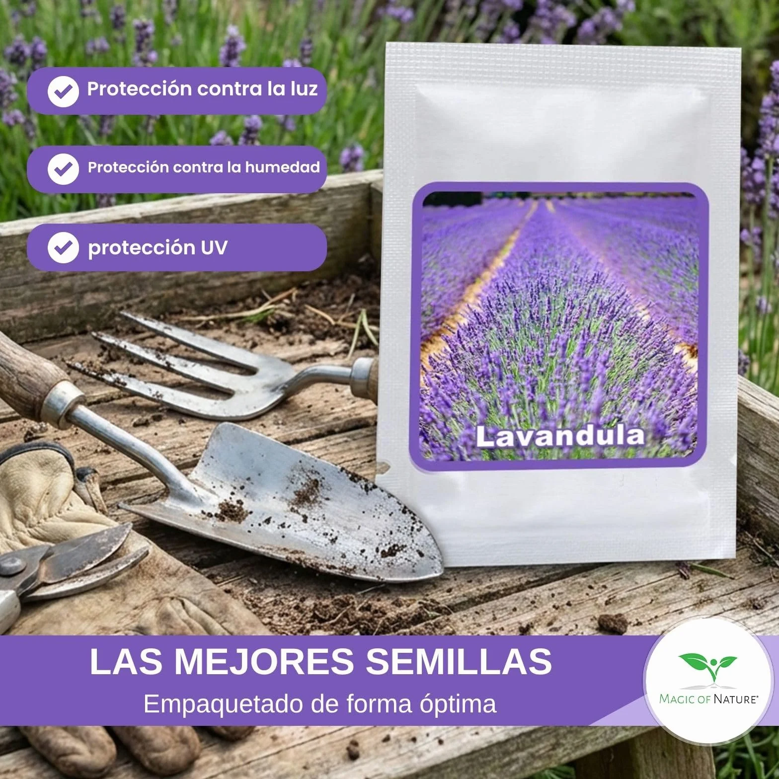 Semillas de Lavanda Verdadera aprox 150 Uds – Semilla Perenne Resistente al Invierno – Planta Fragante para Jardín