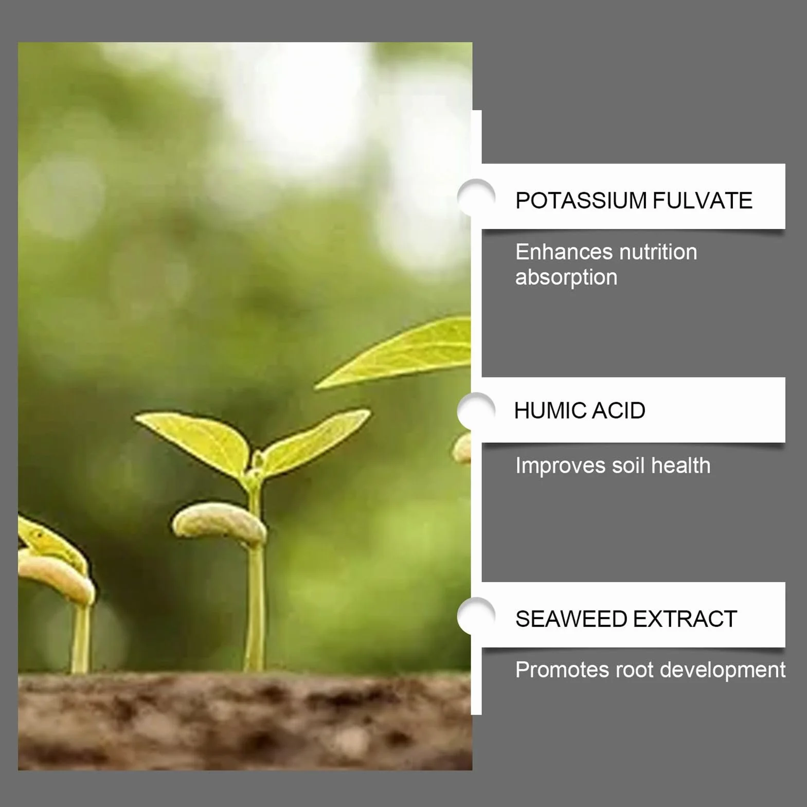 Revitalizador del Suelo Promueve Crecimiento Raíces Mejorador Alimento Vegetal Plantas Césped Jardín