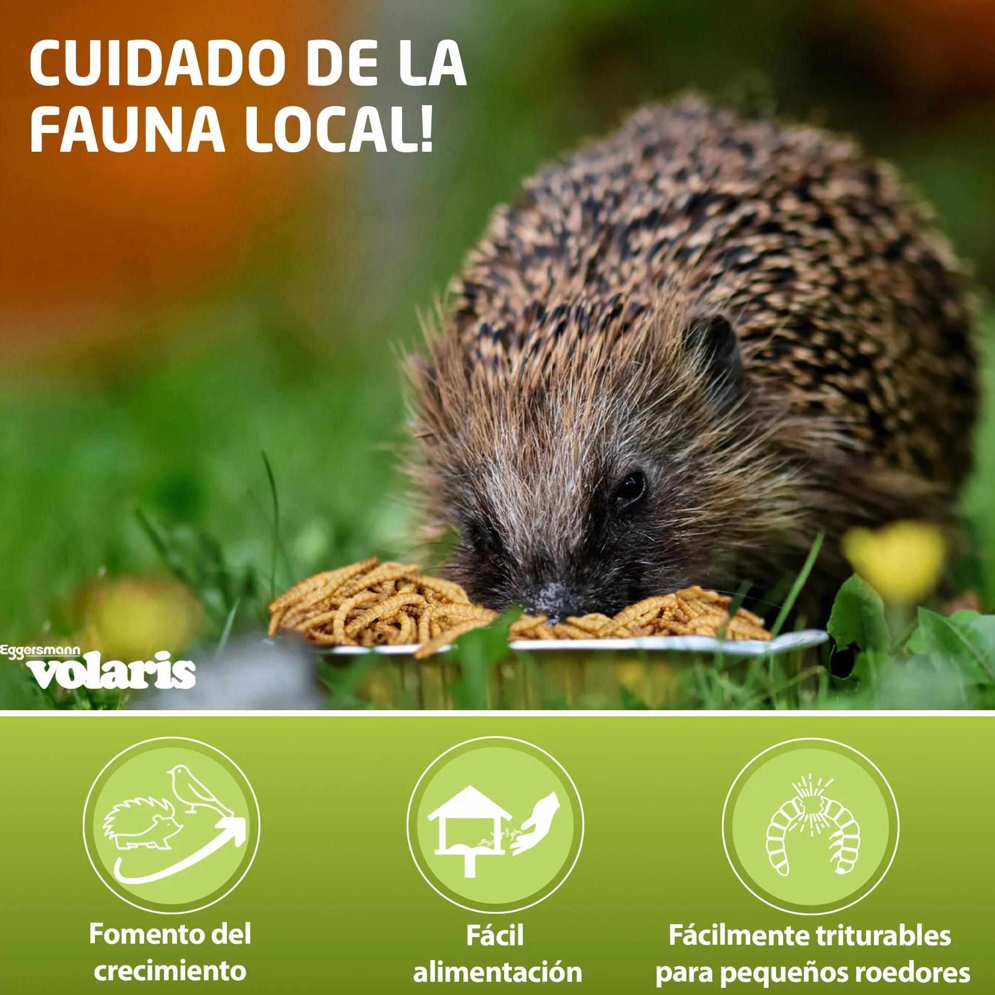 Eggersmann Volaris 5 kg Gusanos de Harina Secos Ricos en Proteínas