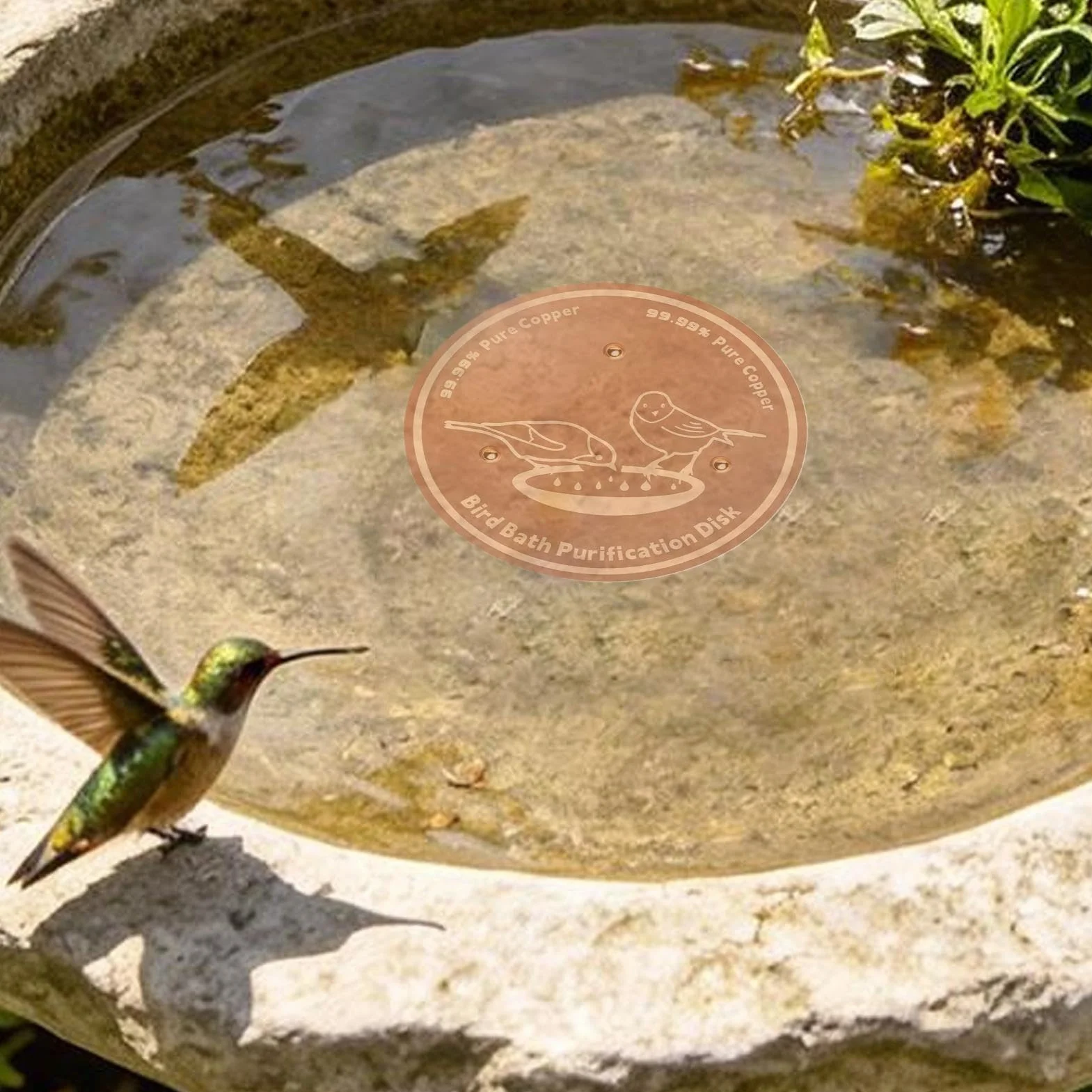 Disco de cobre para bañera adaptación universal soporte puntos purificante patio terraza césped fuentes