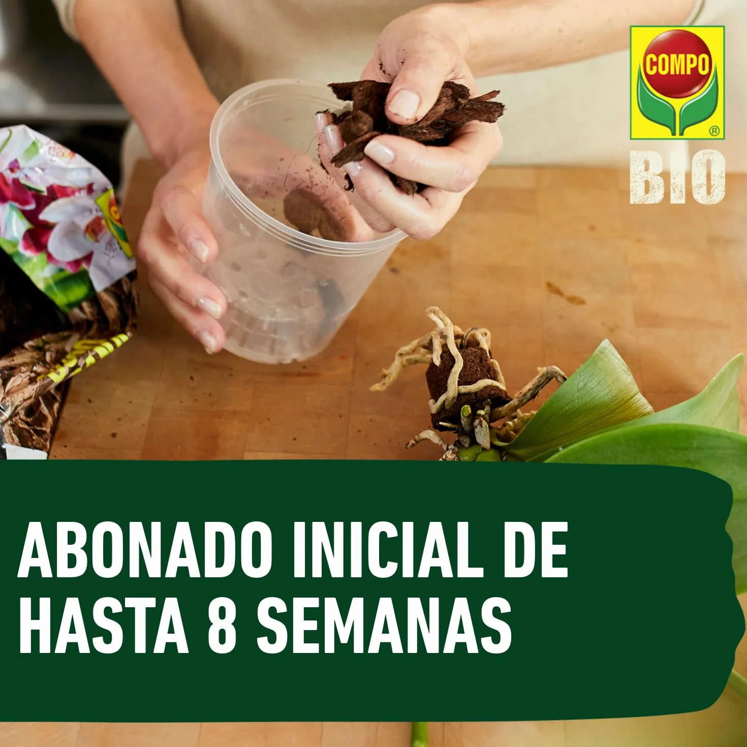 Compo Sana Substrato de orquídeas con abono 8 semanas, Corteza de Pino, 5 L