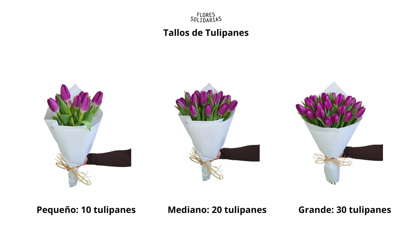 Ramo De Tulipanes Naturales - 10 Tulipanes Tallos Rosa - Flores Naturales A Domicilio - Regalos San Valentin