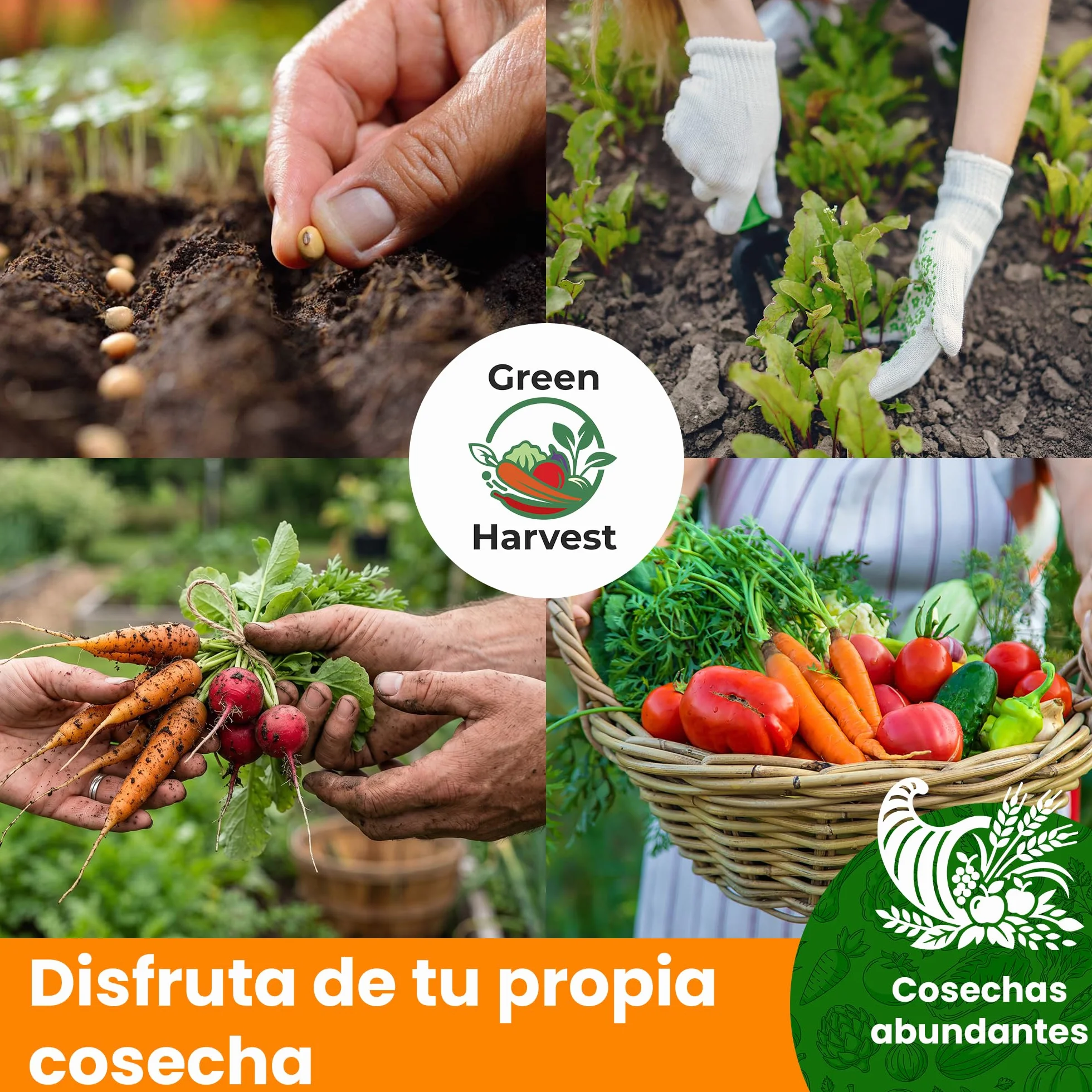 Set de Semillas de Vegetales 15 Variedades TORAF – Tomate, Pepino, Pimiento, Calabacin, Brócoli, Rúcula