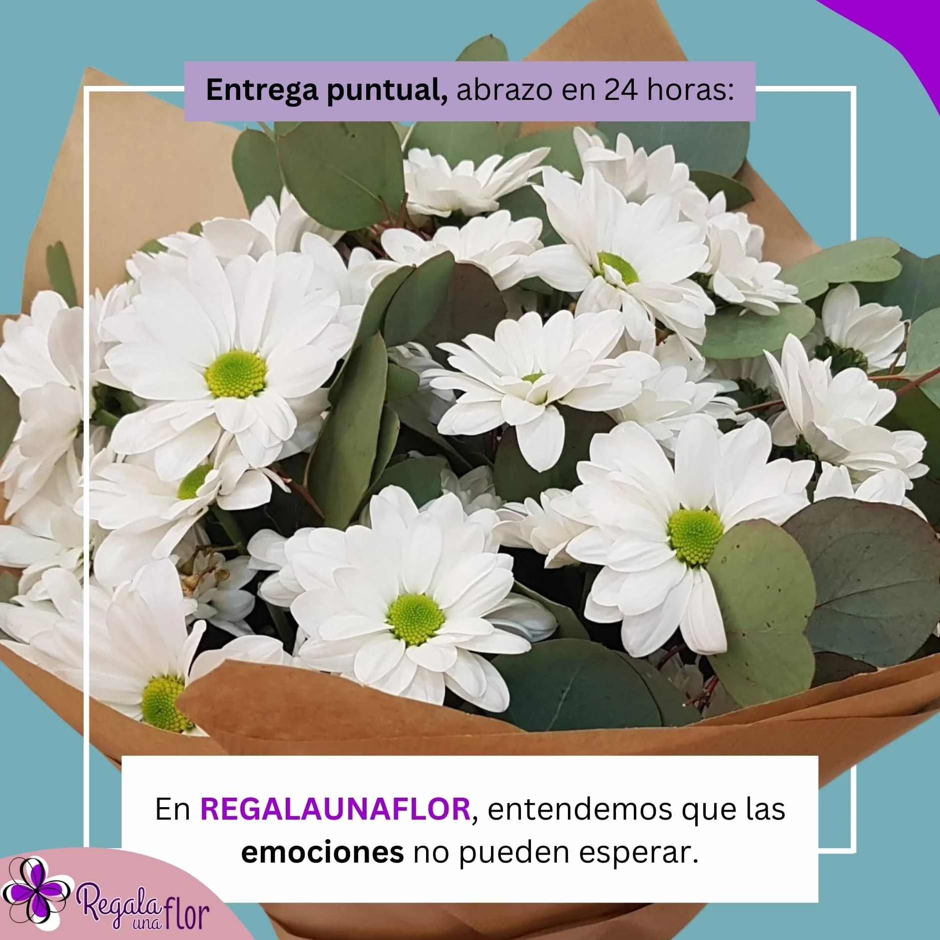 Margaritas blancas ramo de flores naturales a domicilio entrega 24 horas
