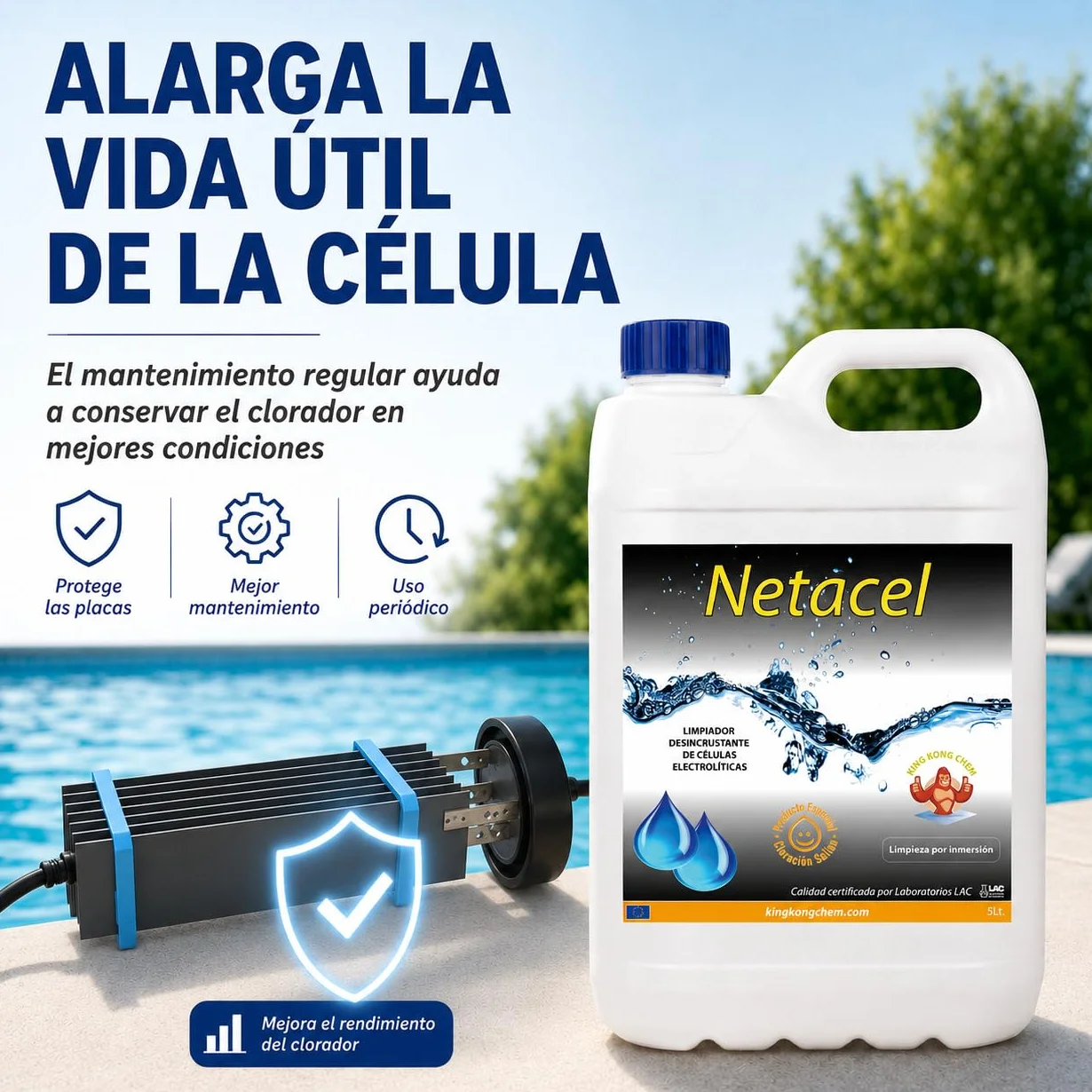 NETACEL 5 litros Limpiador desincrustante para célula clorador salino