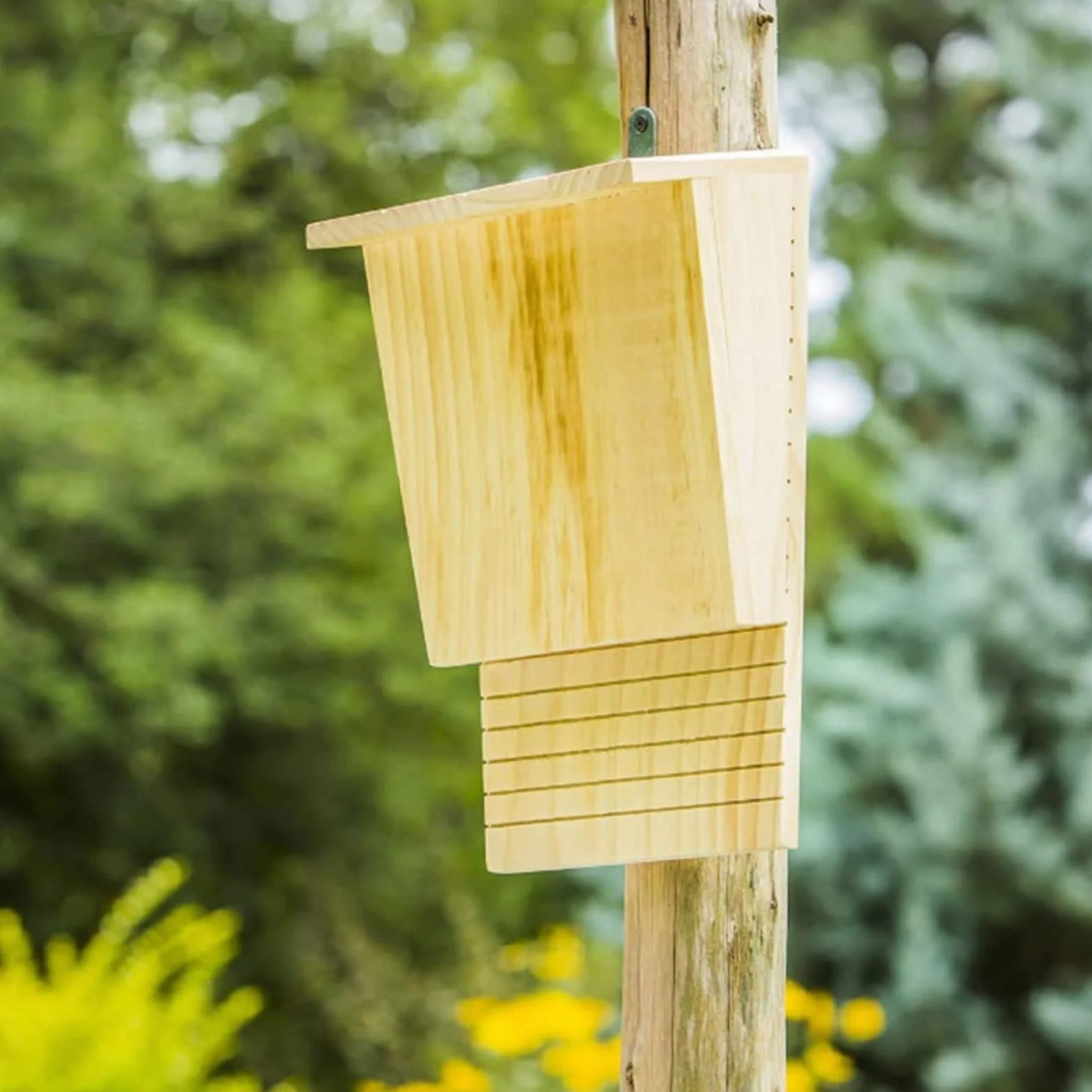 Caja para murciélagos – Control de moscas resistente a la intemperie – Casa de murciélagos de madera para exteriores – para jardín, patio, terraza, invierno, verano