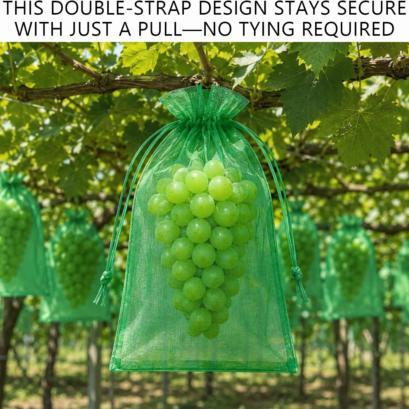 Bolsas Protectoras para Uvas 20x30 cm Malla de Protección con Cordón Verde
