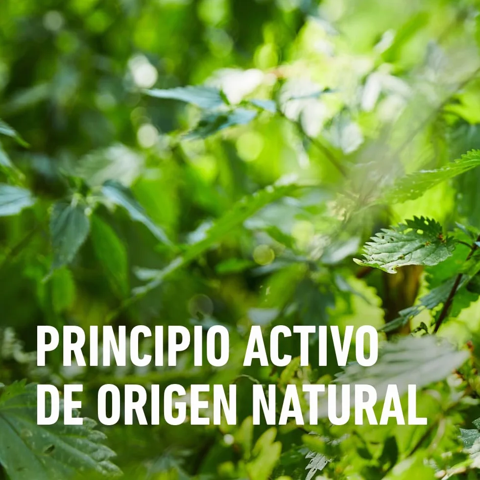 COMPO Antihormigas Pistola 750 ml Envase pulverizador Uso doméstico Hogar jardín