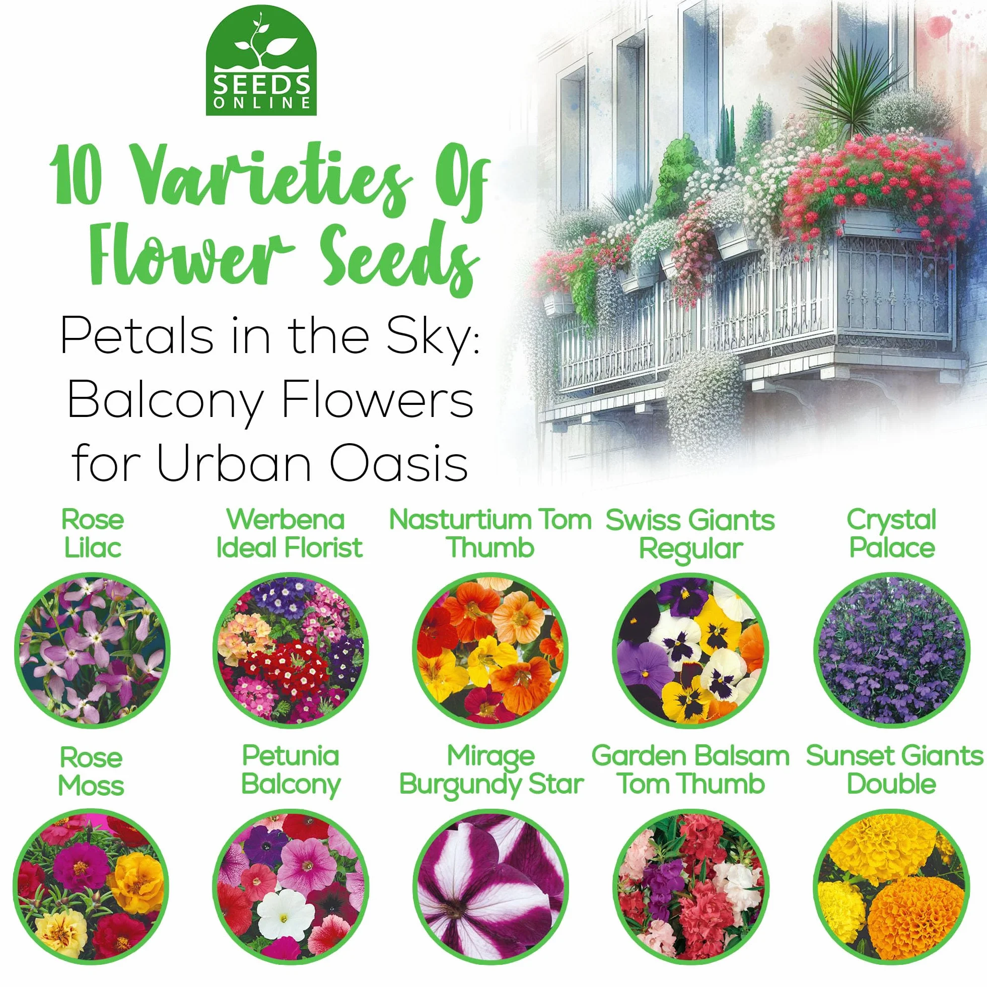 Nojus Juego de semillas de flores 10 variedades para balcón plantas coloridas 10 paquetes Regalo