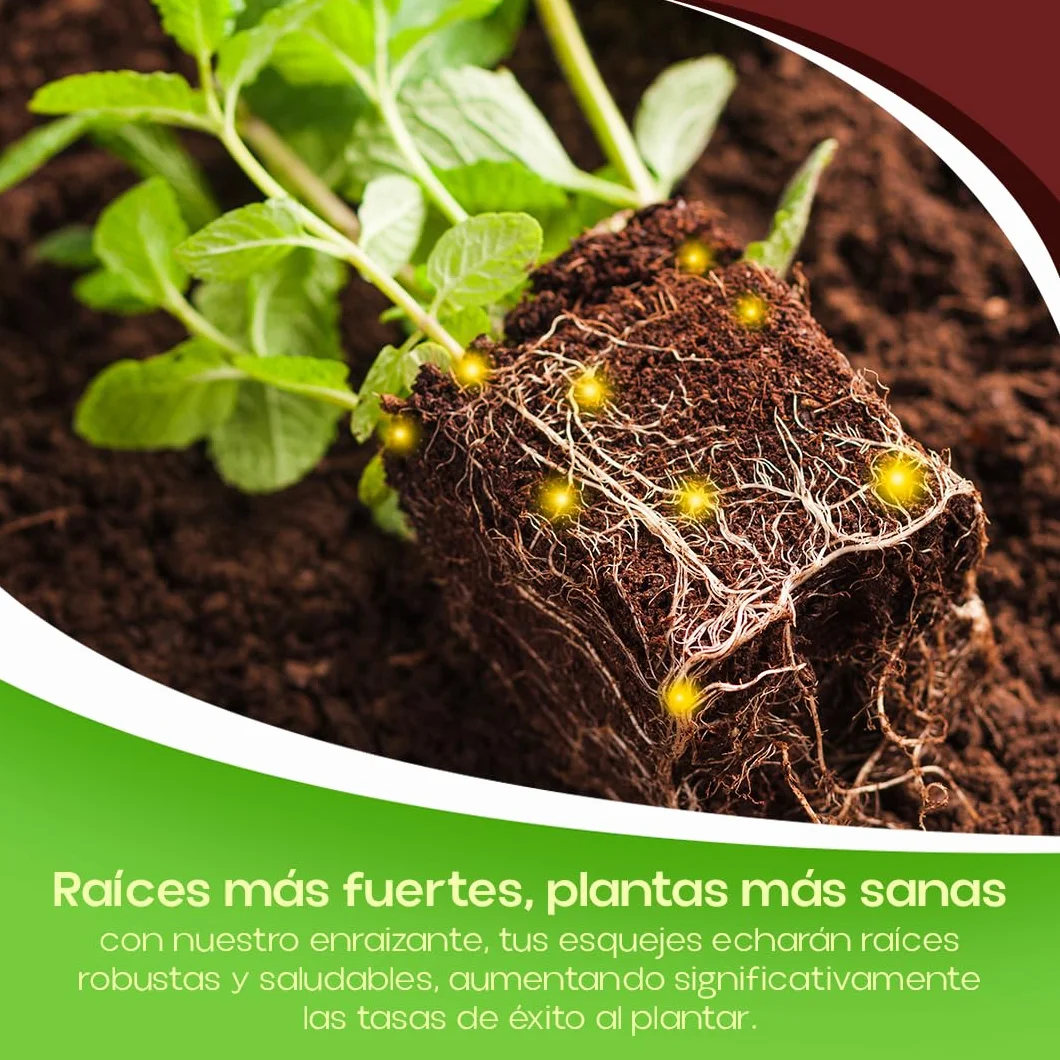 Polvo Enraizante para Esquejes 25 g Hormonas Enraizantes Profesionales Estimulador Crecimiento Radicular Herbáceos Leñosos