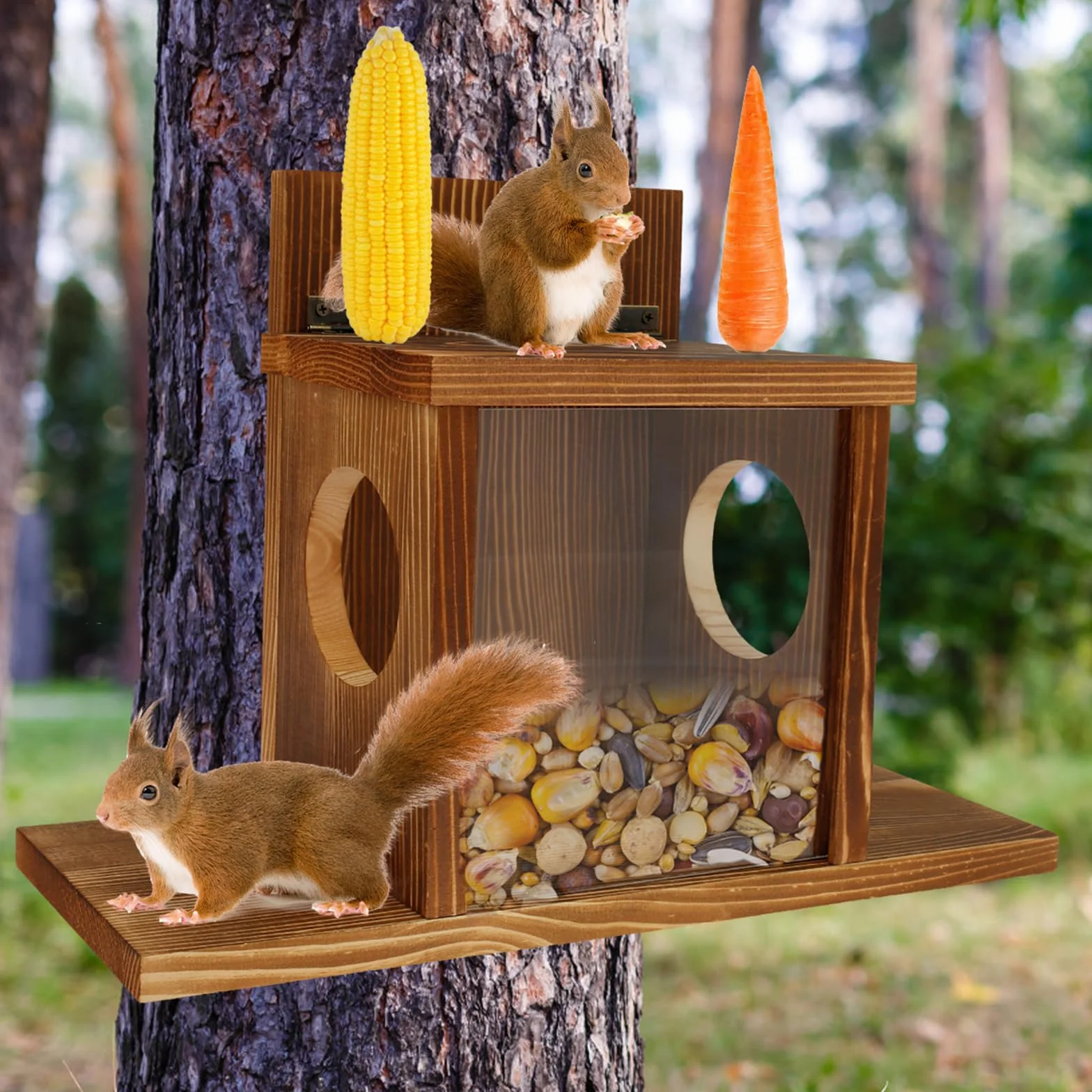 Comedero para ardilla resistente a la intemperie con ventana transparente de madera