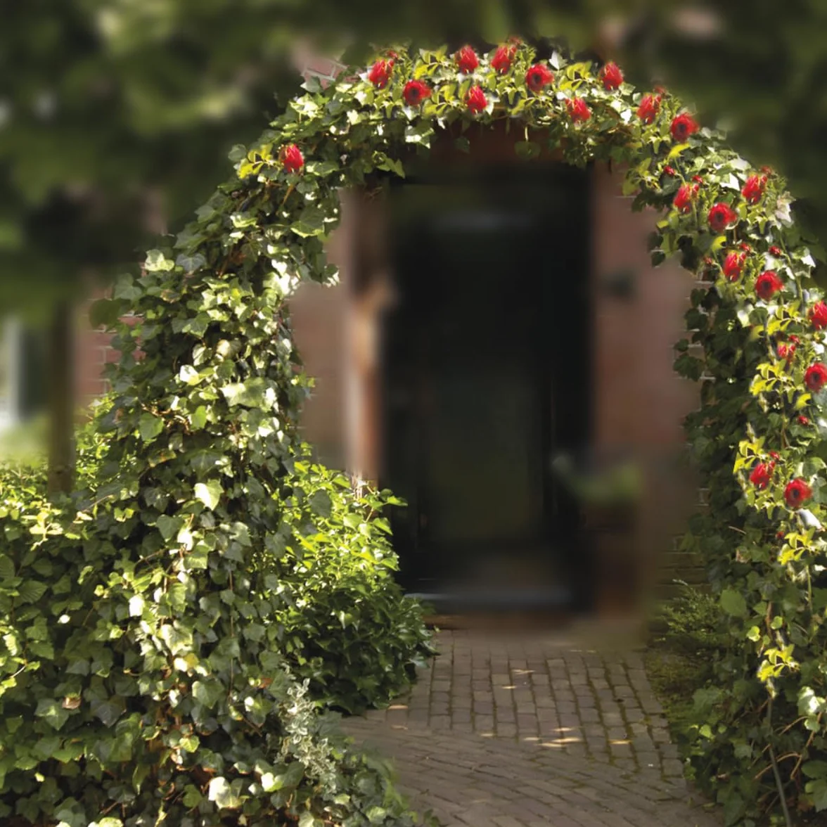 Kinzo Rose Arco Pérgola metálica Duradera 240 x 140 cm para jardín y terraza