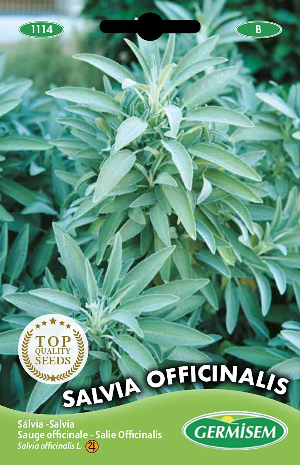 Germisem Salvia Officinalis Semillas de Salvia 1 g