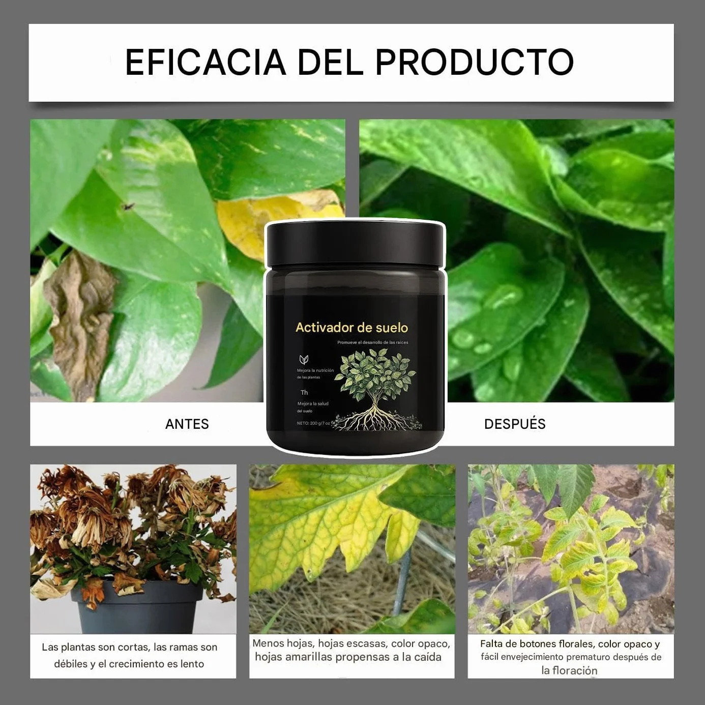 Activador de Suelo para Plantas - Promueve el Crecimiento de las Raíces para Jardín, Césped, Patio