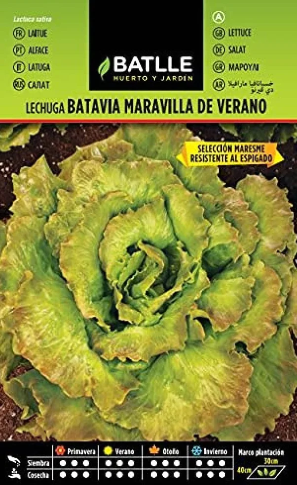 Semillas Batlle Lechuga Marv. Verano MARESME