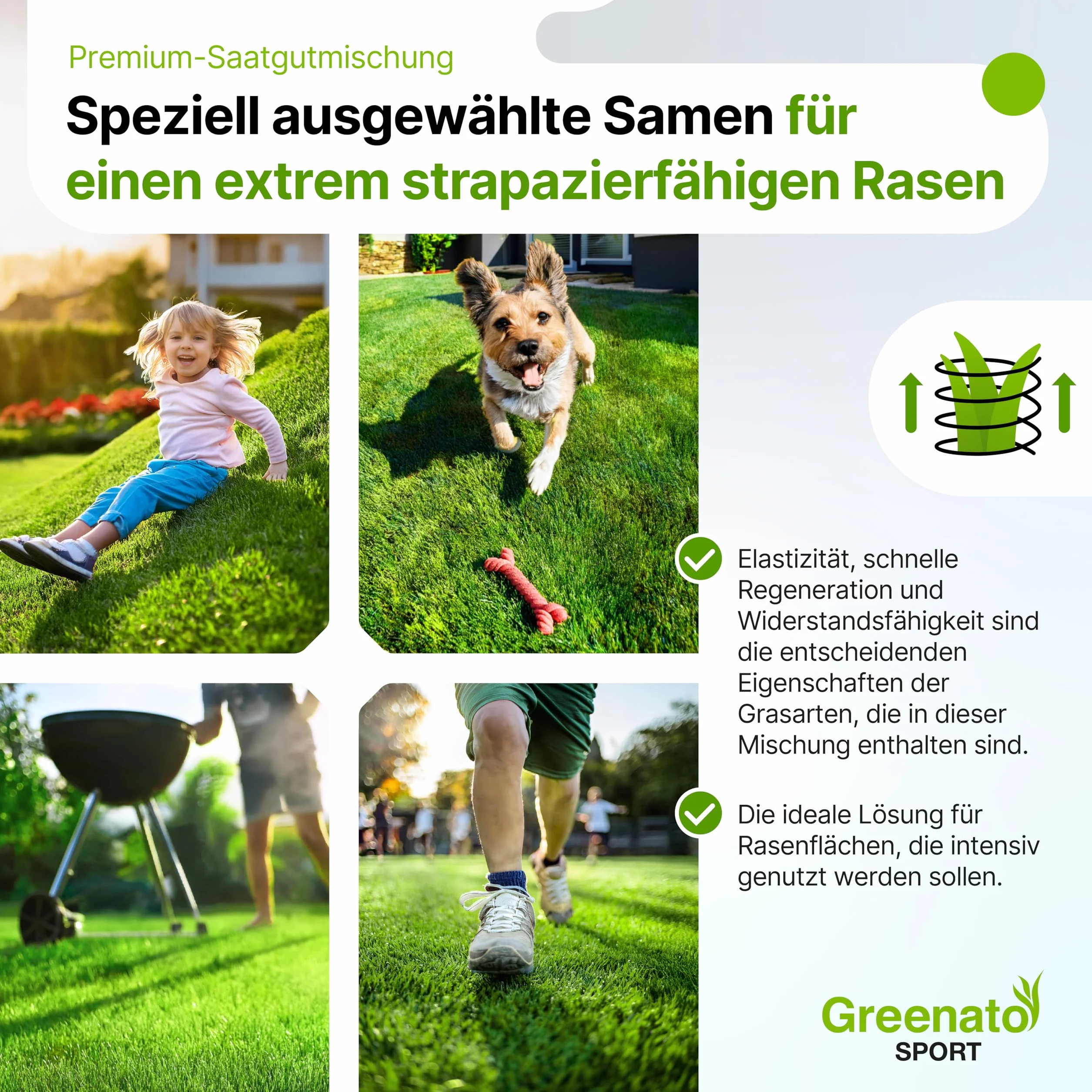 Semillas de césped Greenato Sport 25 kg Césped deportivo