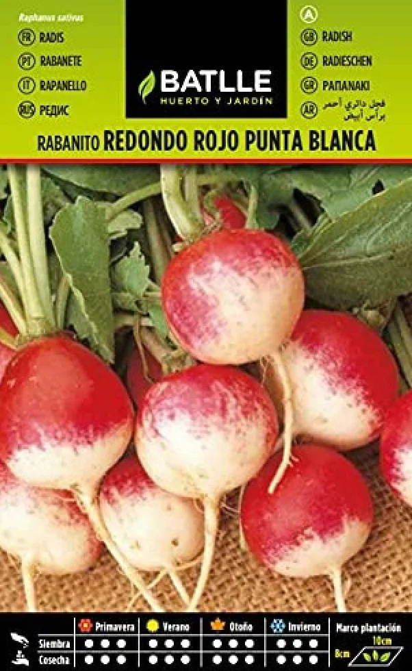 Semillas Batlle Rabanito Red. Rojo Punta Blanca