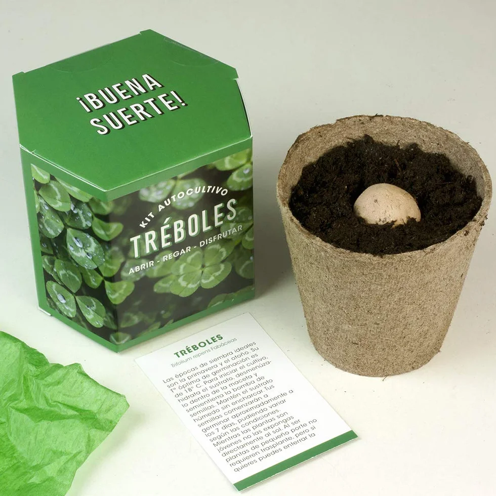 Kit de Autocultivo de Tréboles | Cultiva Tu Propio Trébol en Casa | Regalo Original de Buena Suerte