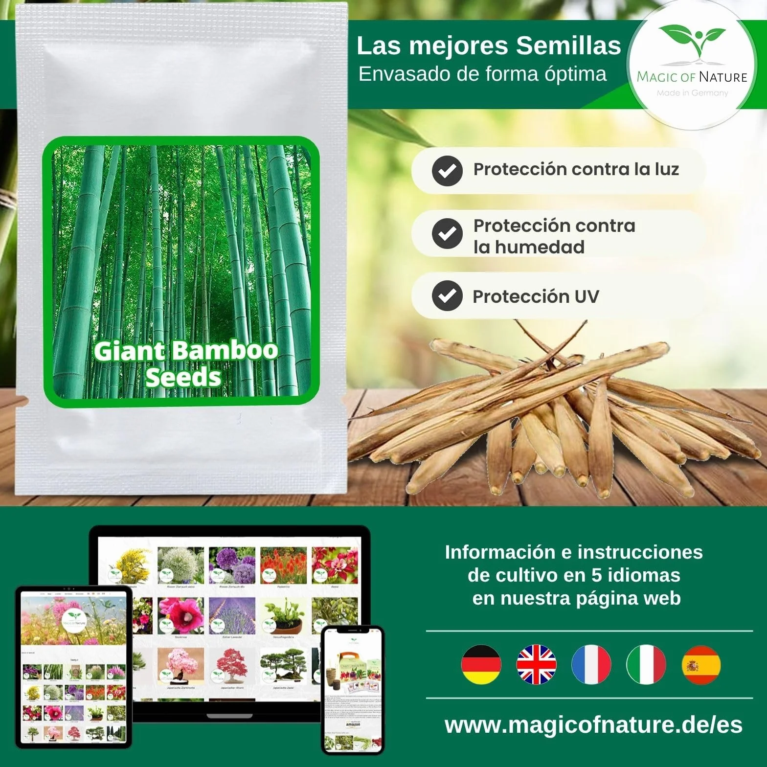 Semillas de Bambú Gigante Magic of Nature (60 uds.) Crecimiento Rápido para Jardín