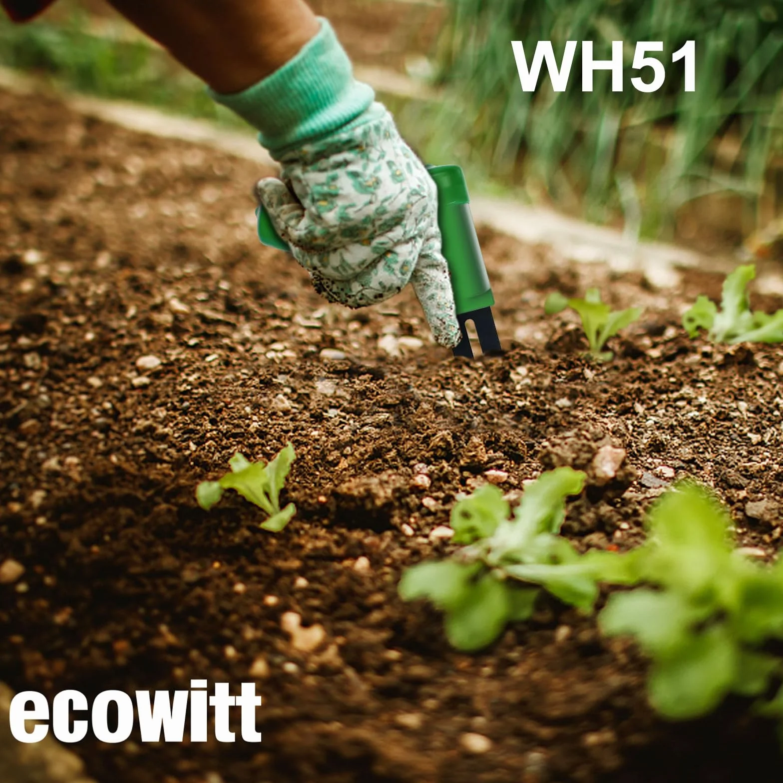 ECOWITT WH51 Probador de humedad del suelo Accesorio