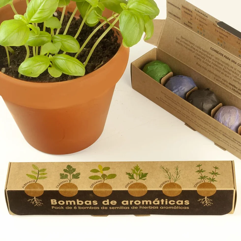 Pack 6 Bombas de Hierbas Aromáticas Cultiva Albahaca Romero Tomillo Regalo Original Cocina