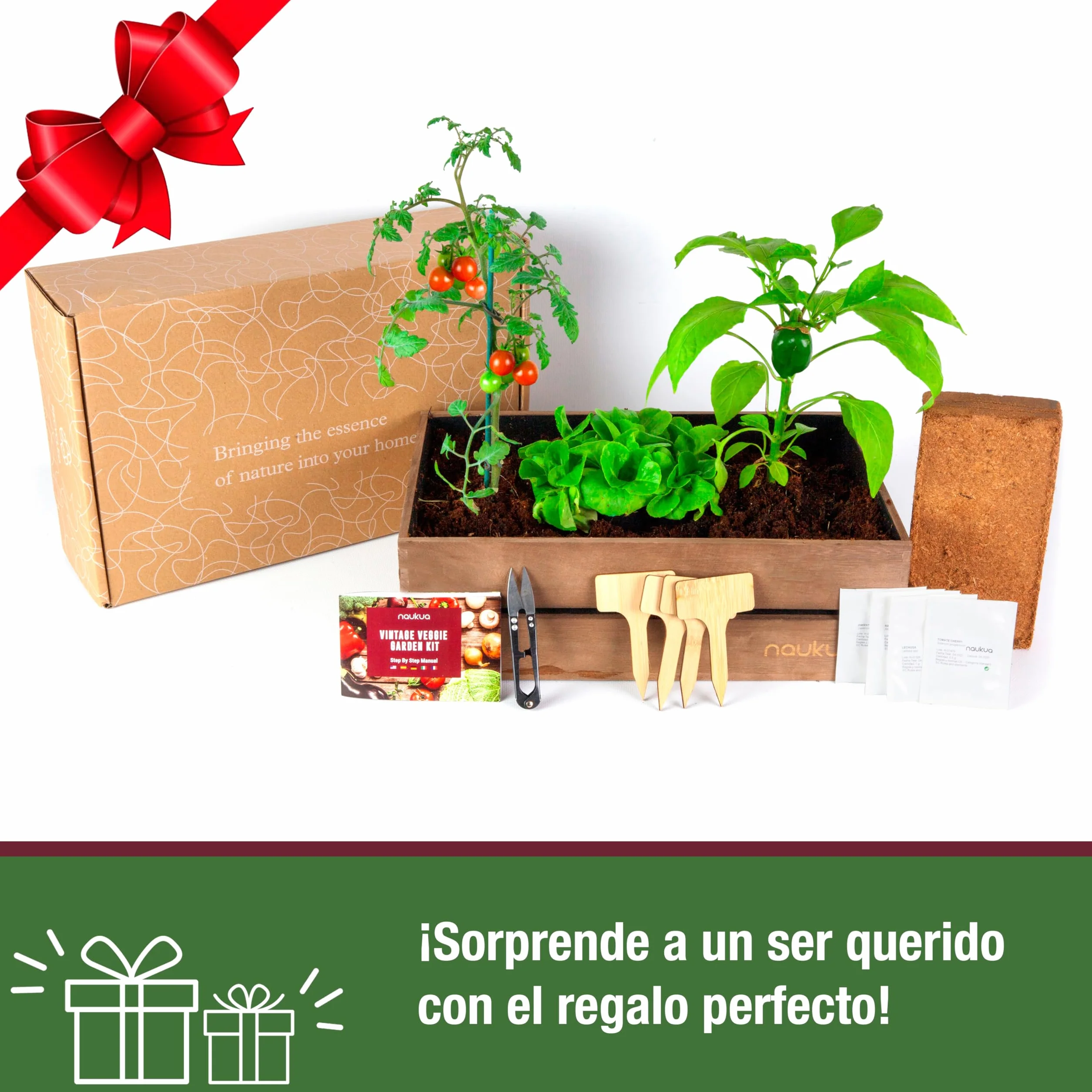 Mini Huerto Urbano Vintage Semillas Orgánicas España Kit Completo Lechuga Rábanos Pimientos Verdes Tomates Cherry