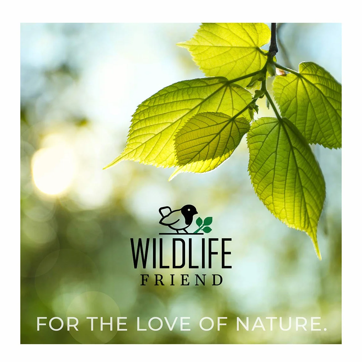 Bebedero para pájaros WILDLIFE FRIEND resistente a la intemperie con pie y pájaro