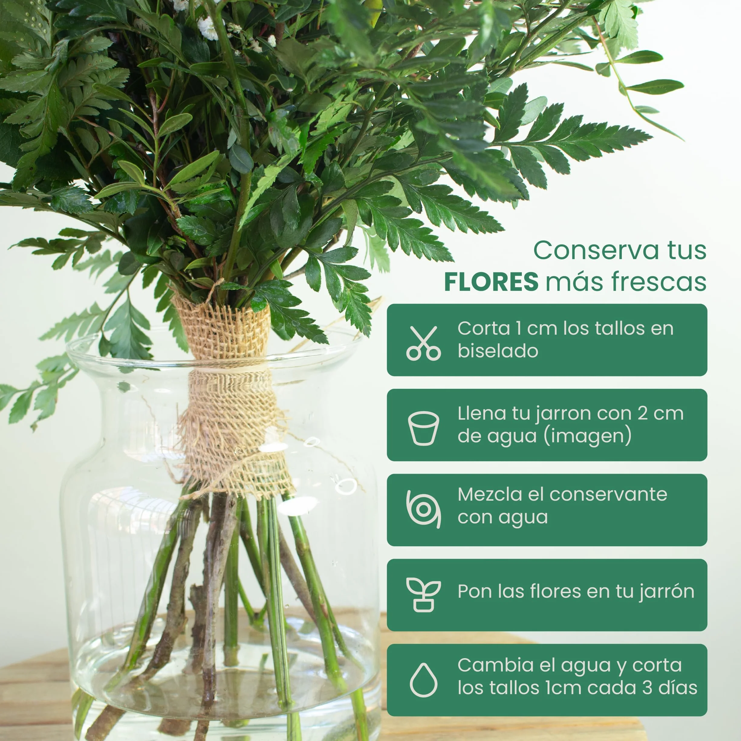 Acurrucalas® Ramo de Flores Rosas Rojas con Dedicatoria 12 Flores Frescas Naturales