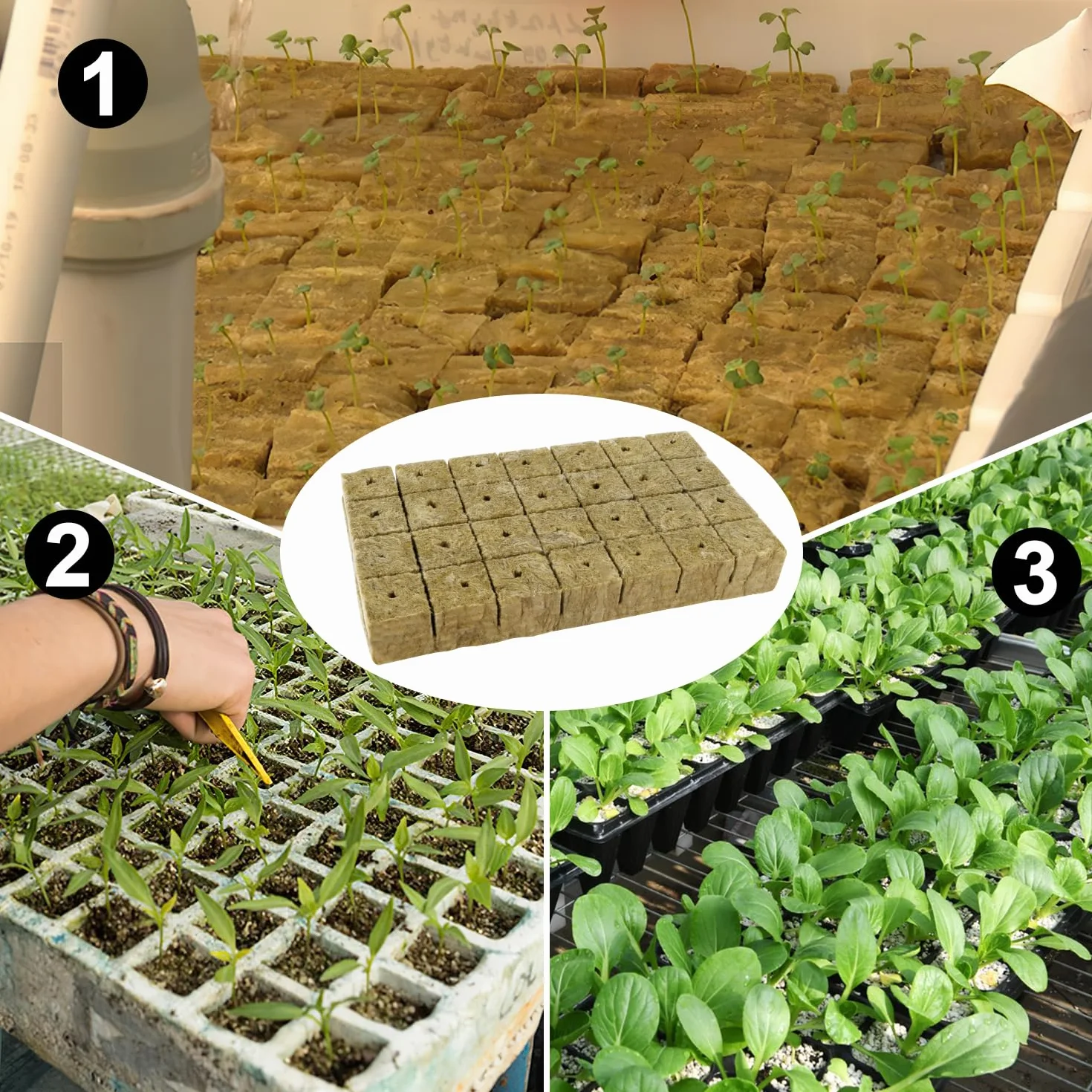 Cubos De Lana De Roca 56pcs 4 x 4 x 4 cm para Cultivo Hidropónico sin Suelo