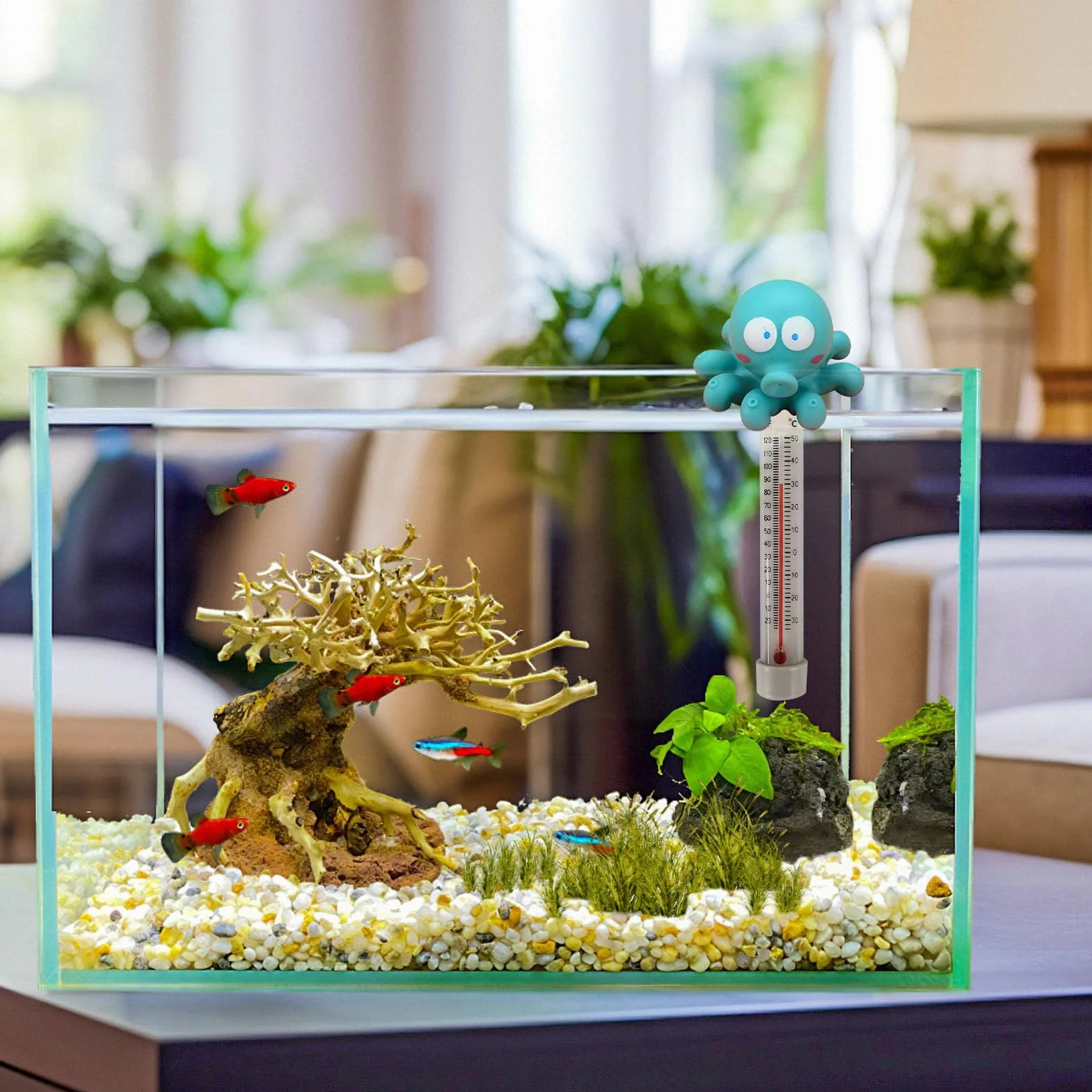 Termómetro flotante para piscinas con cuerda y diseño de animales