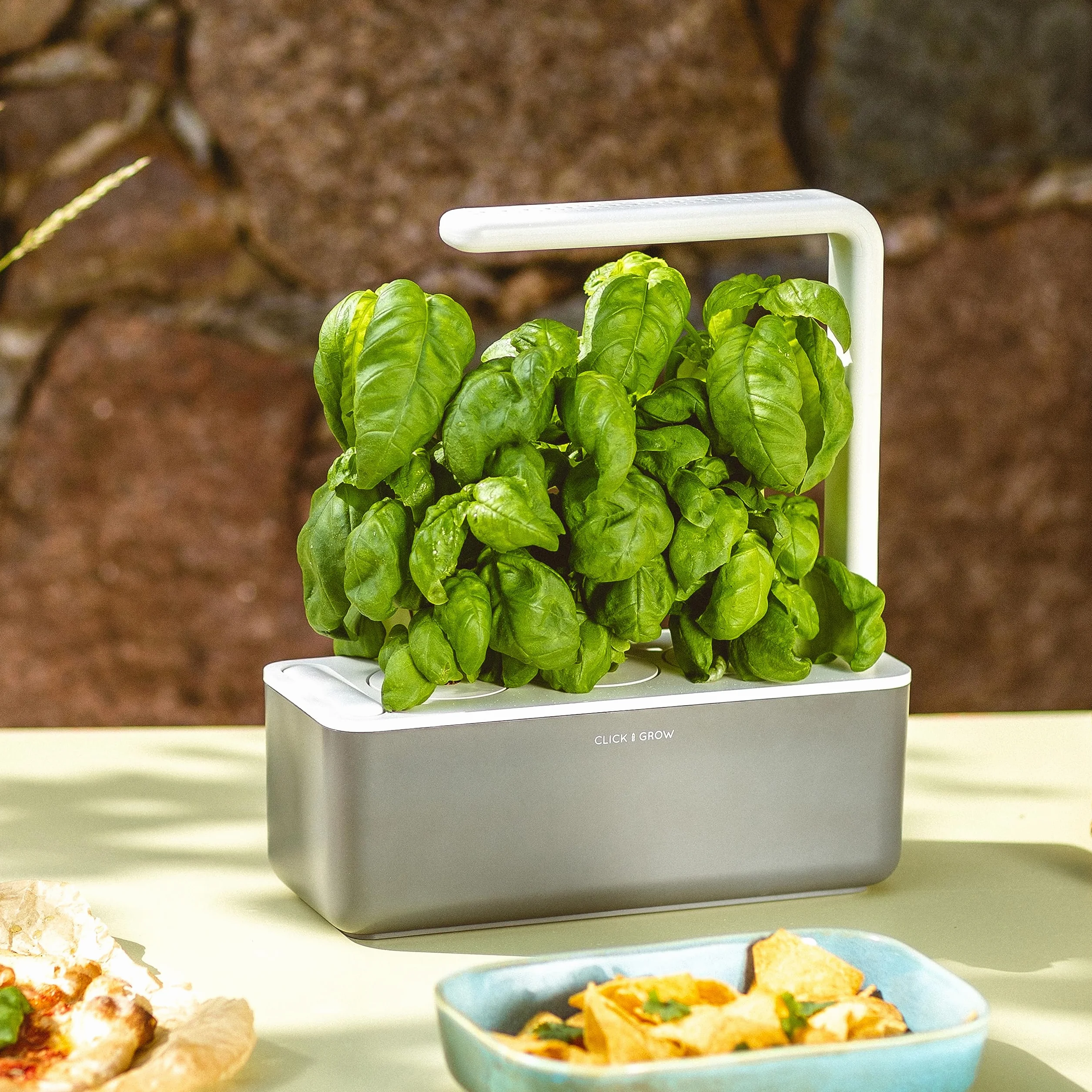 Click & Grow Recambio Cápsulas de Cultivo de Albahaca, Kit de 3 Unidades