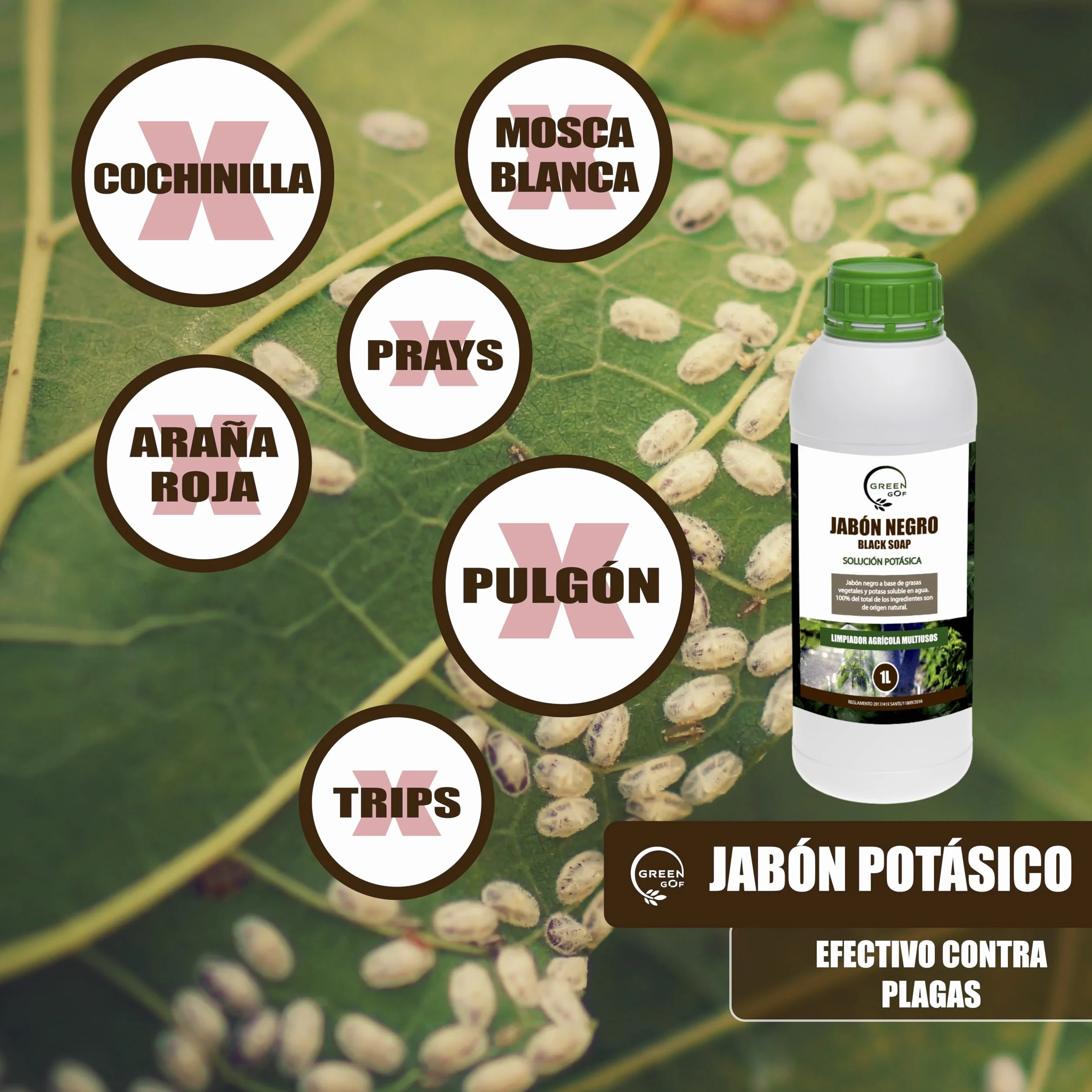 GREENGOF Jabón Potásico Premium 1L Concentrado Hongos Plagas Pulgón Mosca Blanca Araña Roja Cochinilla